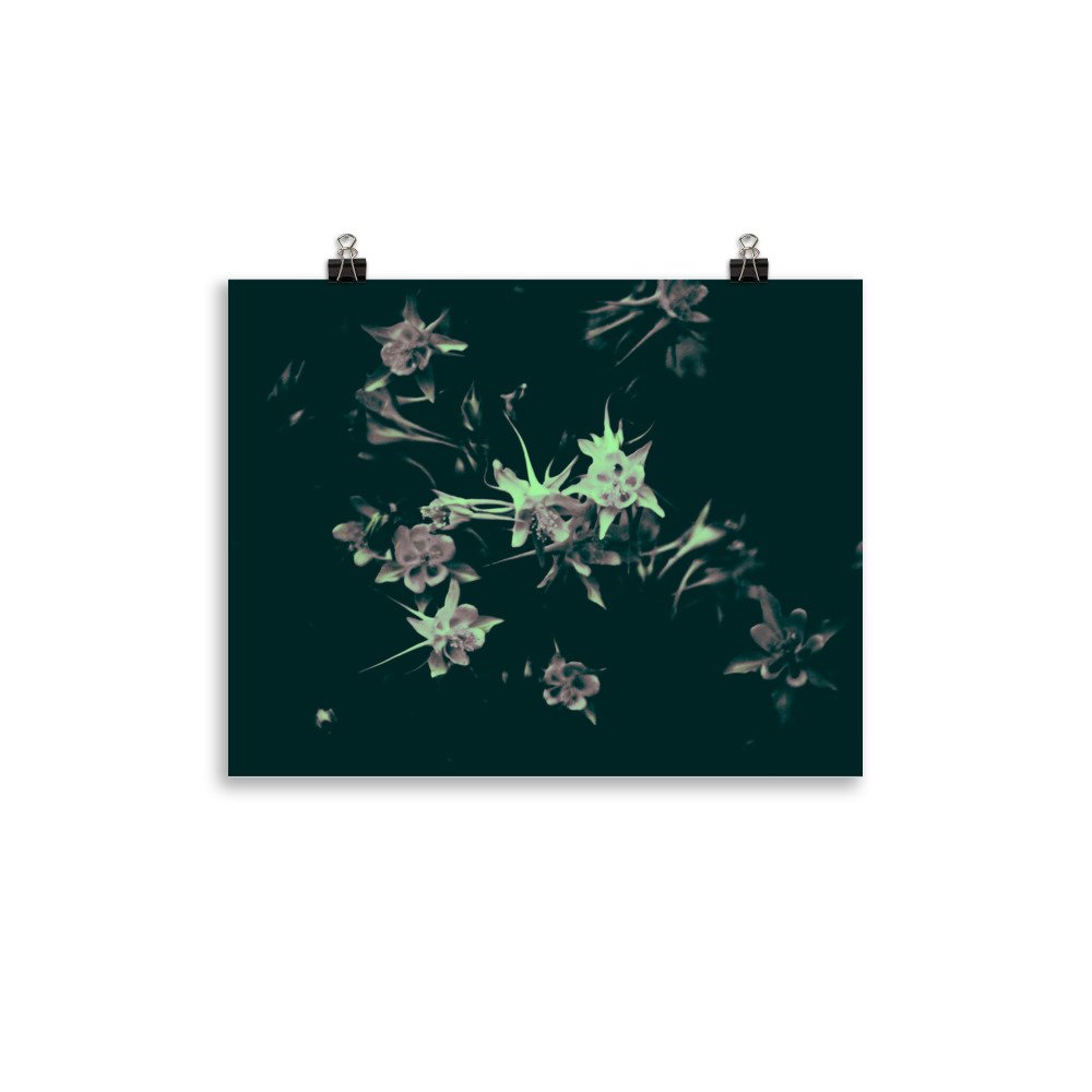 enhanced-matte-paper-poster-(in)-11x14-transparent-65ef9fa69c33a.jpg