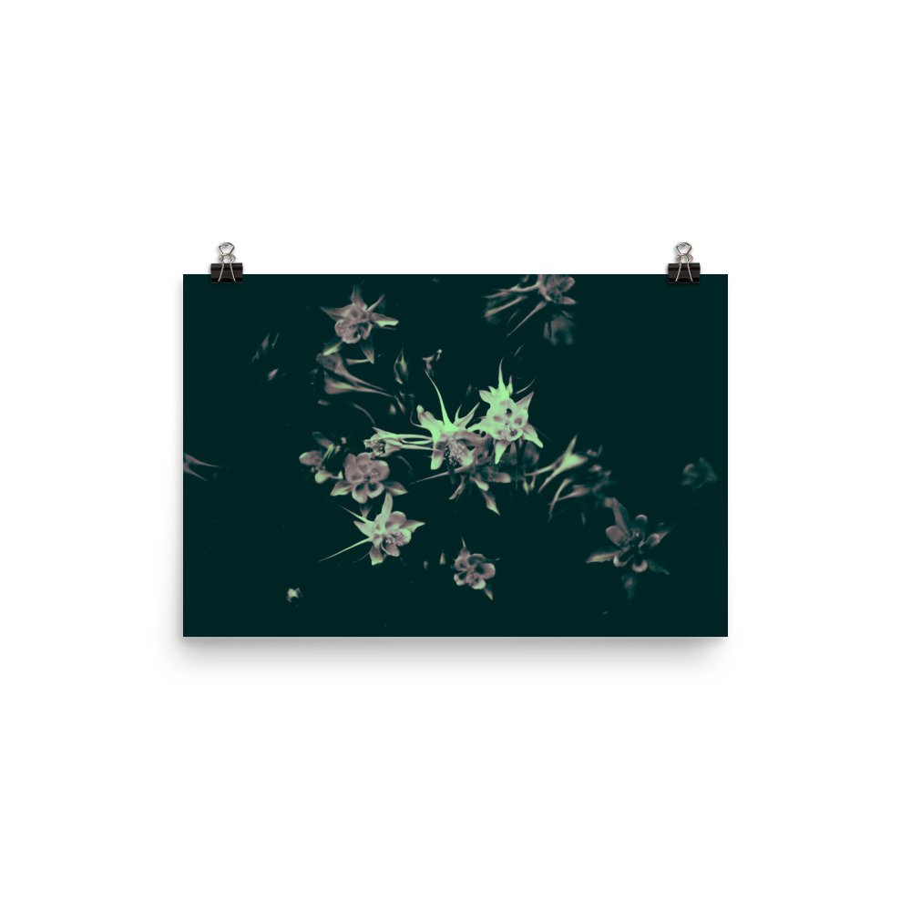 enhanced-matte-paper-poster-(in)-12x18-transparent-65ef9fa69c5e0.jpg