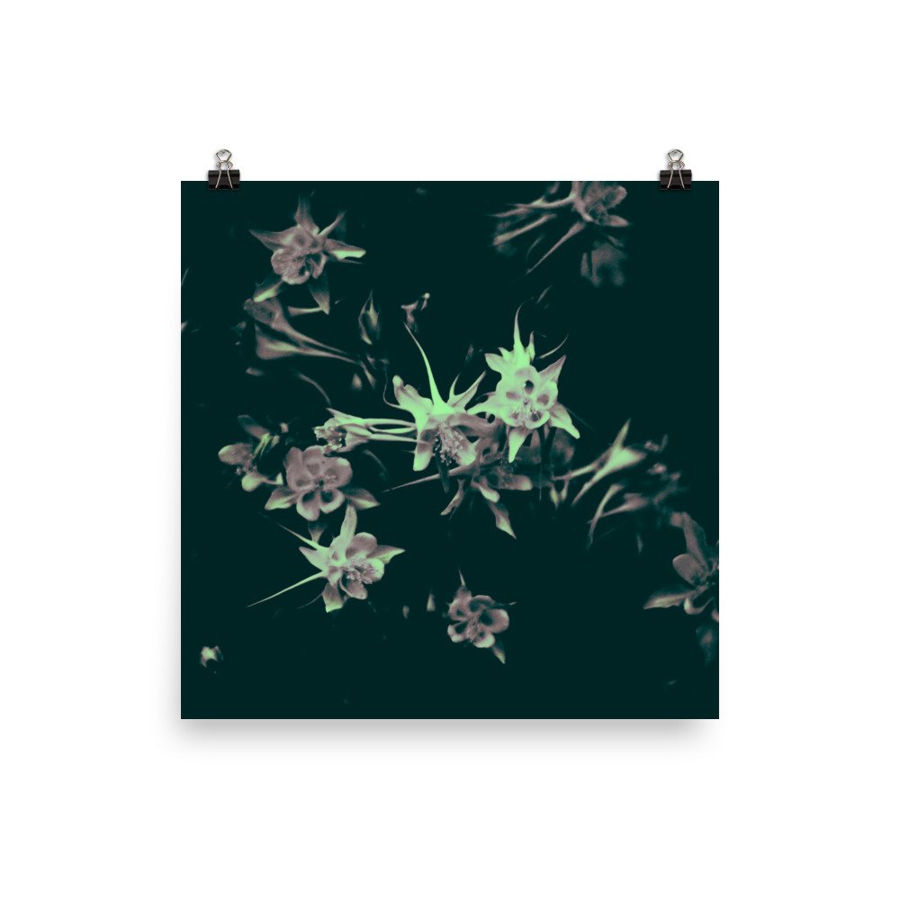 enhanced-matte-paper-poster-(in)-14x14-transparent-65ef9fa69c69f.jpg
