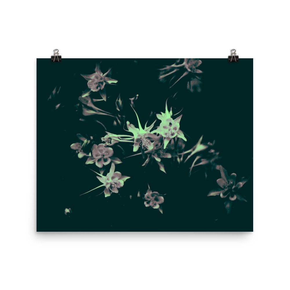 enhanced-matte-paper-poster-(in)-16x20-transparent-65ef9fa69c81c.jpg