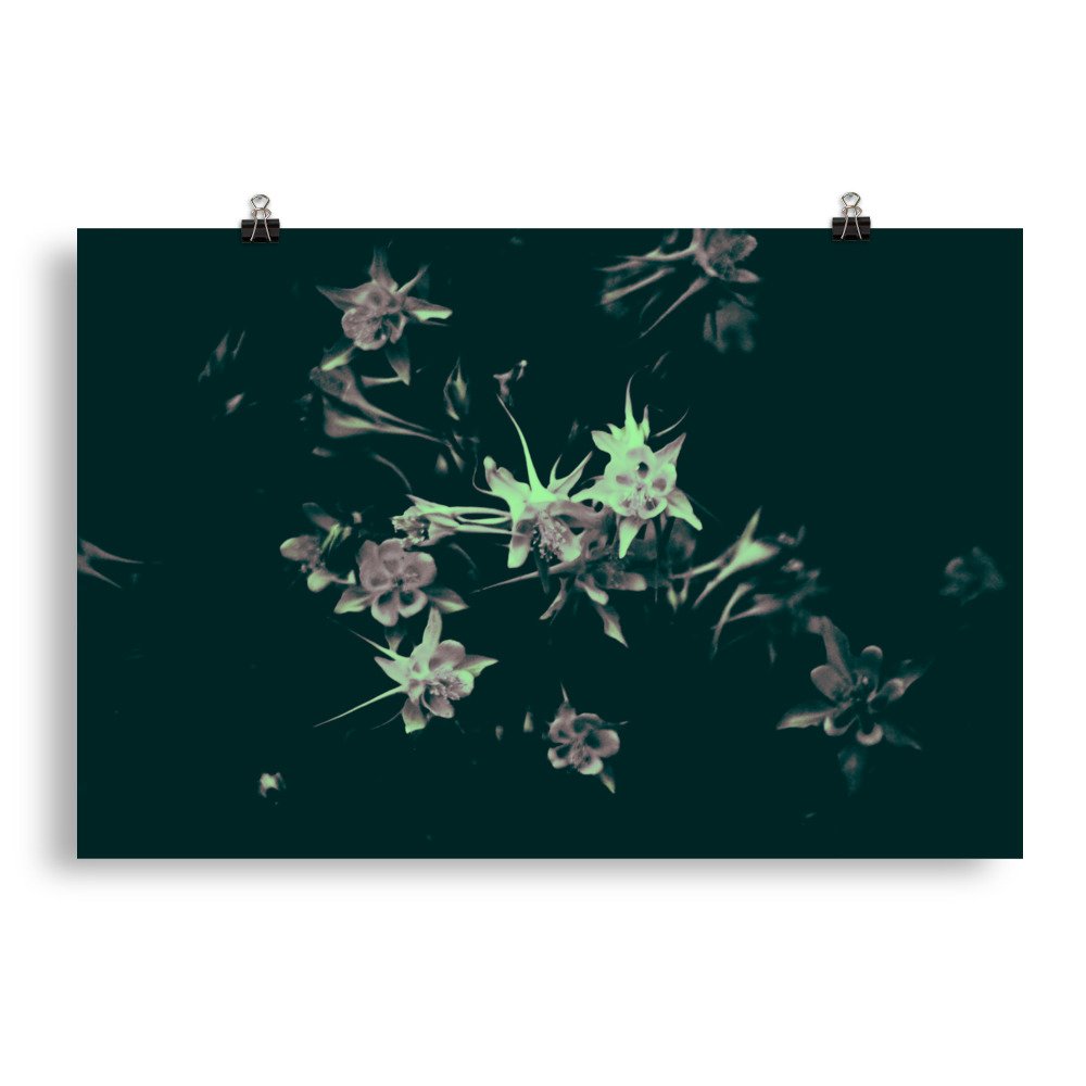 enhanced-matte-paper-poster-(in)-20x30-transparent-65ef9fa69ca4f.jpg