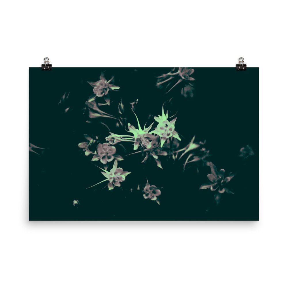 enhanced-matte-paper-poster-(in)-24x36-transparent-65ef9fa69cb10.jpg