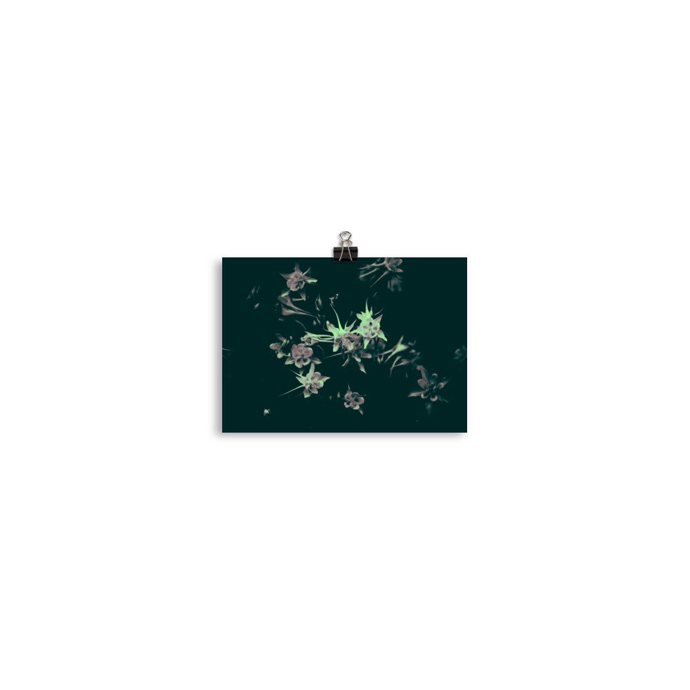 enhanced-matte-paper-poster-(in)-5x7-transparent-65ef9fa69cbe0.jpg