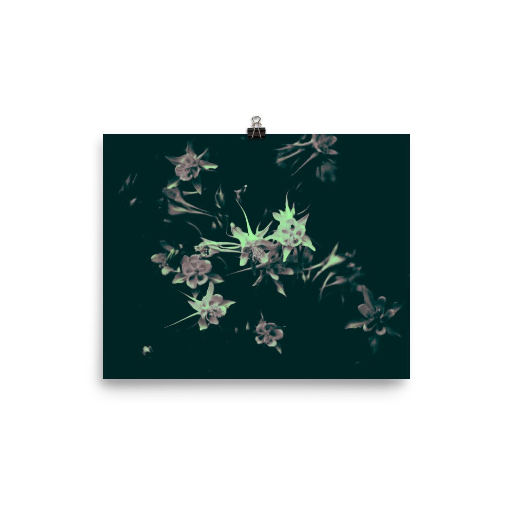enhanced-matte-paper-poster-(in)-8x10-transparent-65ef9fa69cc9f.jpg