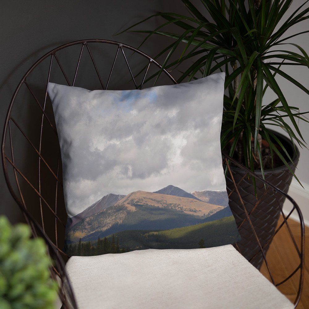 all-over-print-basic-pillow-18x18-front-lifestyle-4-65efcd06d3b8f.jpg