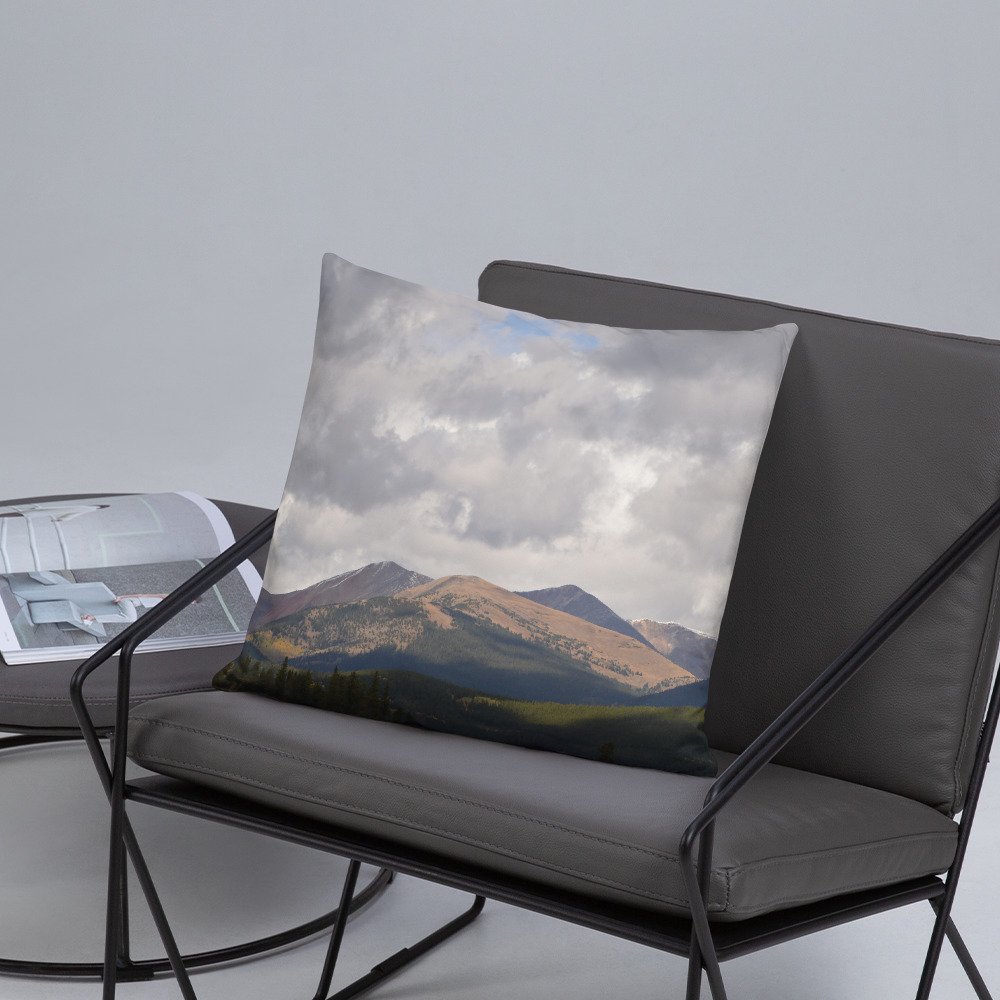 all-over-print-basic-pillow-18x18-front-lifestyle-5-65efcd06d3bf5.jpg