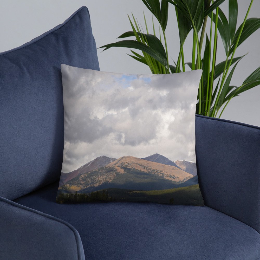 all-over-print-basic-pillow-18x18-front-lifestyle-6-65efcd06d3c8a.jpg
