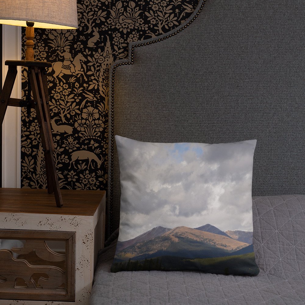all-over-print-basic-pillow-18x18-back-lifestyle-2-65efcd06d3db0.jpg