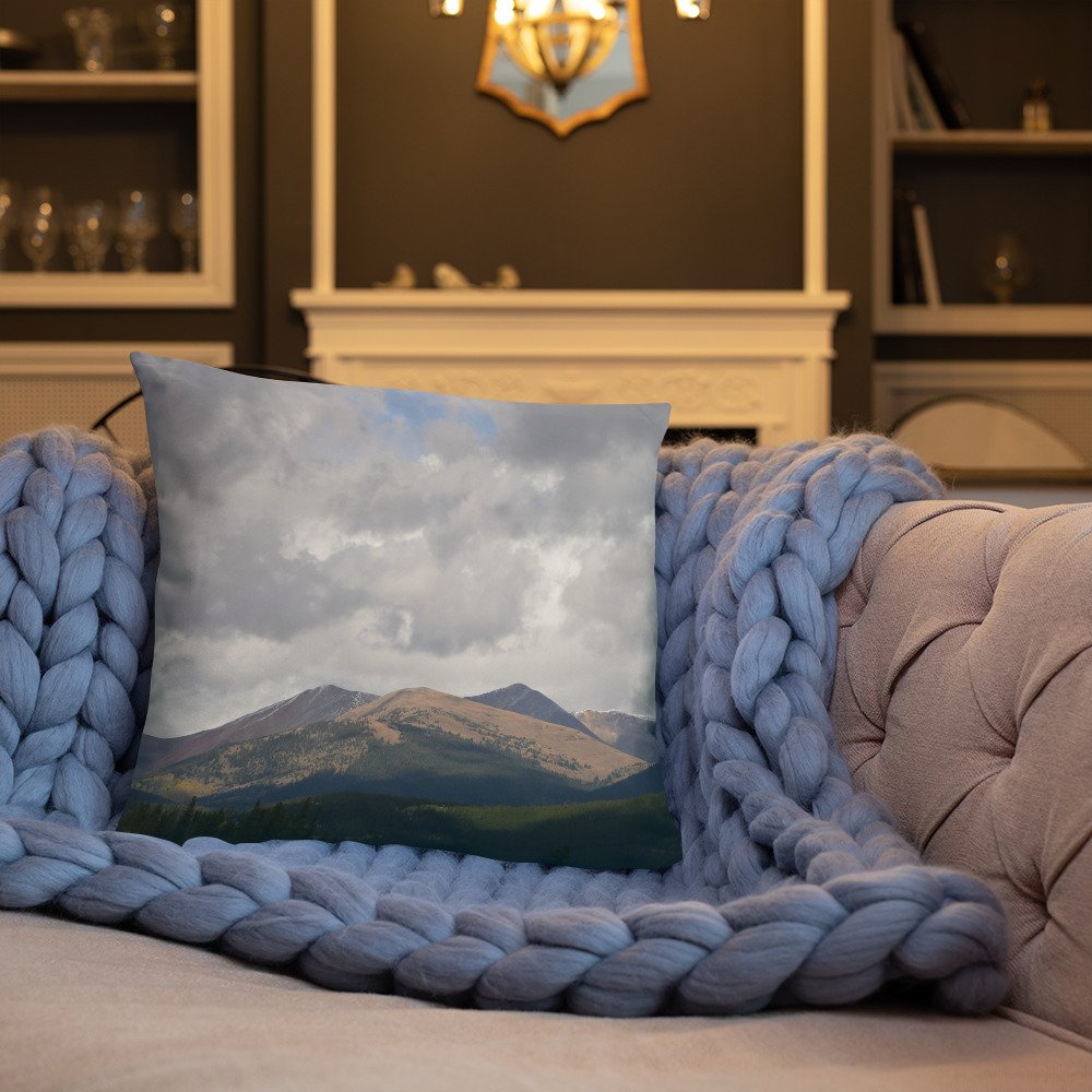 all-over-print-basic-pillow-18x18-back-lifestyle-3-65efcd06d3e01.jpg