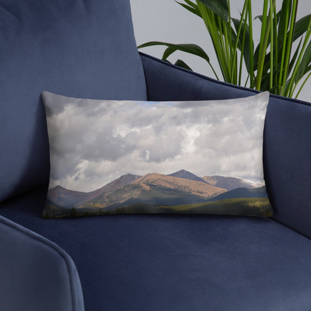 all-over-print-basic-pillow-20x12-front-lifestyle-6-65efcd06d41f6.jpg