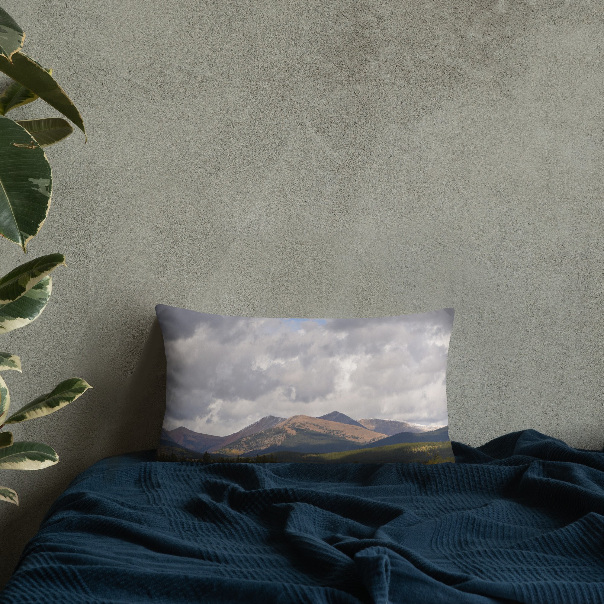 all-over-print-basic-pillow-20x12-front-lifestyle-8-65efcd06d429b.jpg