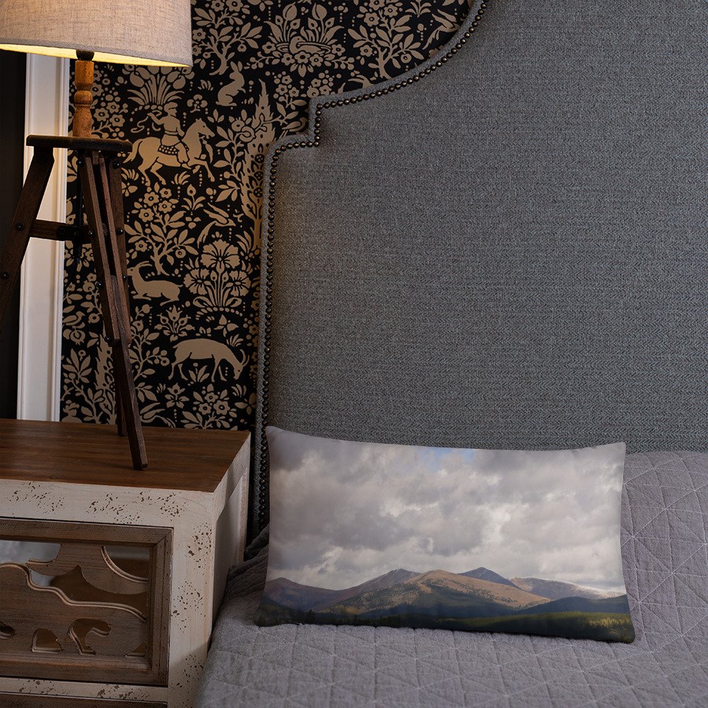 all-over-print-basic-pillow-20x12-back-lifestyle-2-65efcd06d439a.jpg