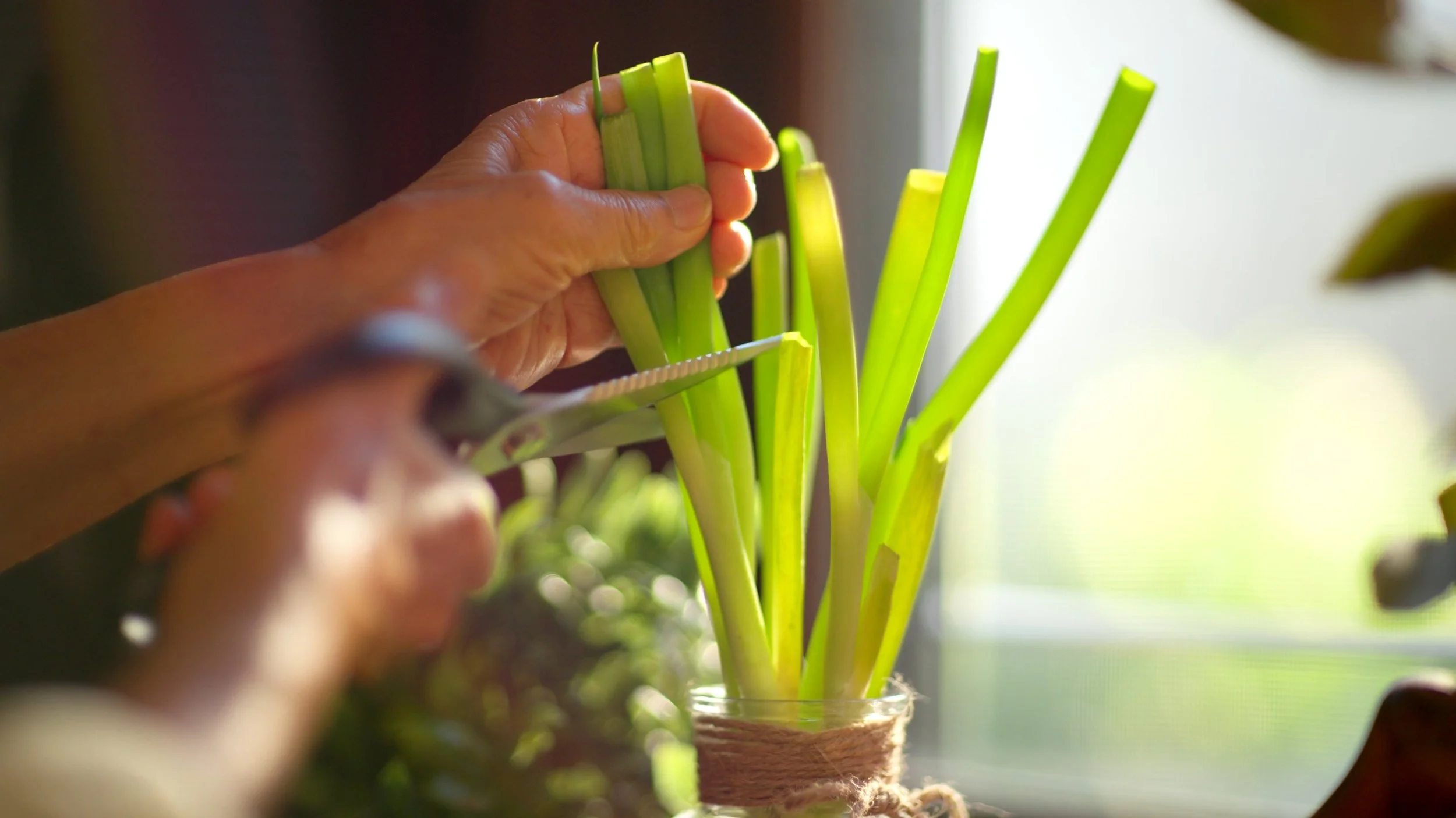 Still 2026-03-20 095309_1.3.5.jpg