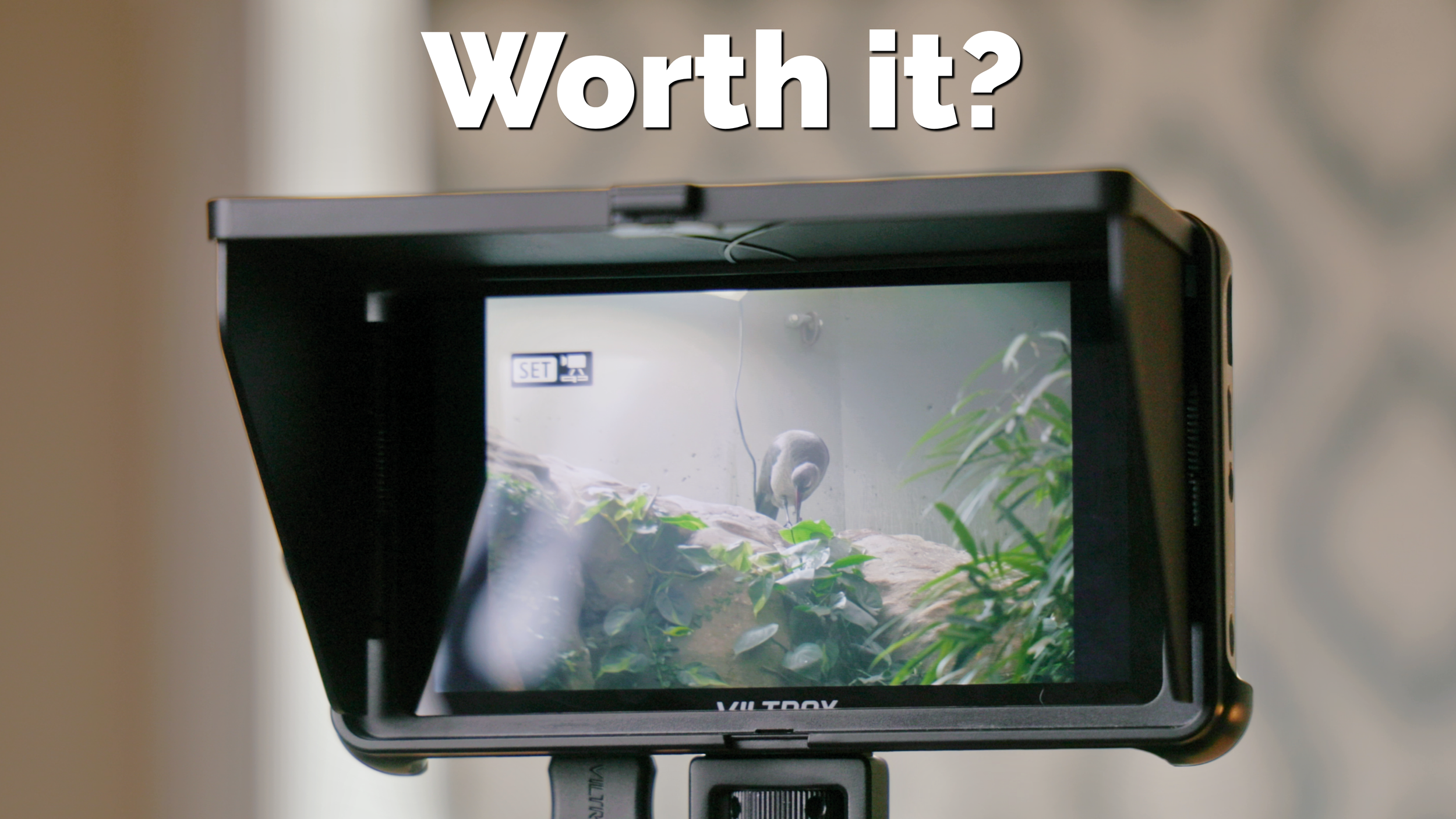 Viltrox DC 550 Pro II Review: The Most Advanced On-Camera Monitor for the Price?