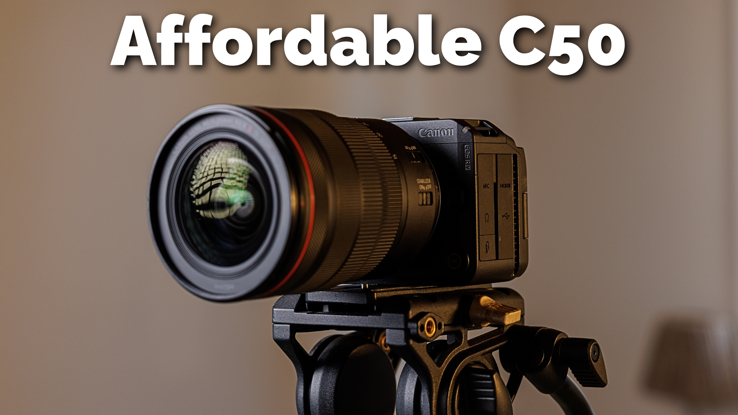 10 Days With the Canon R6V: My Honest Take