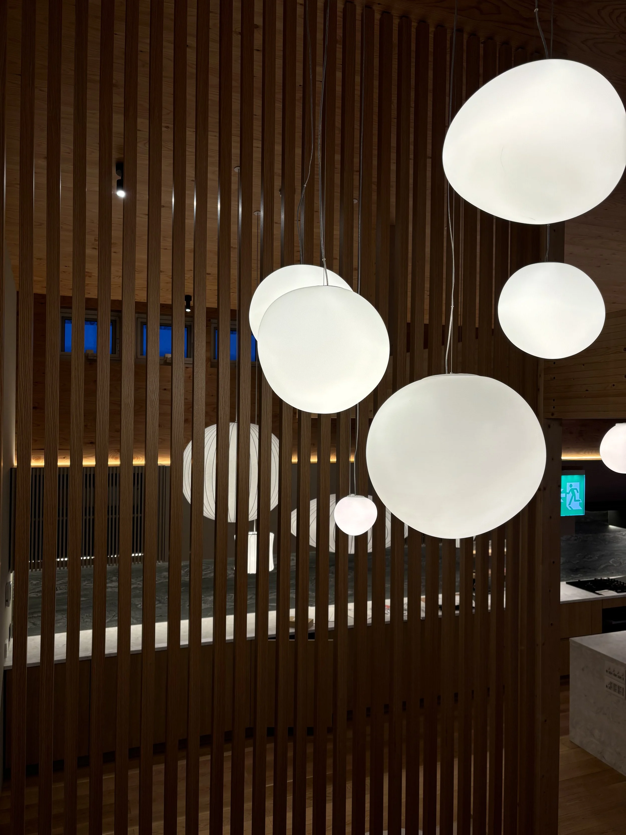 写真 2024-11-29 15 56 07.jpeg