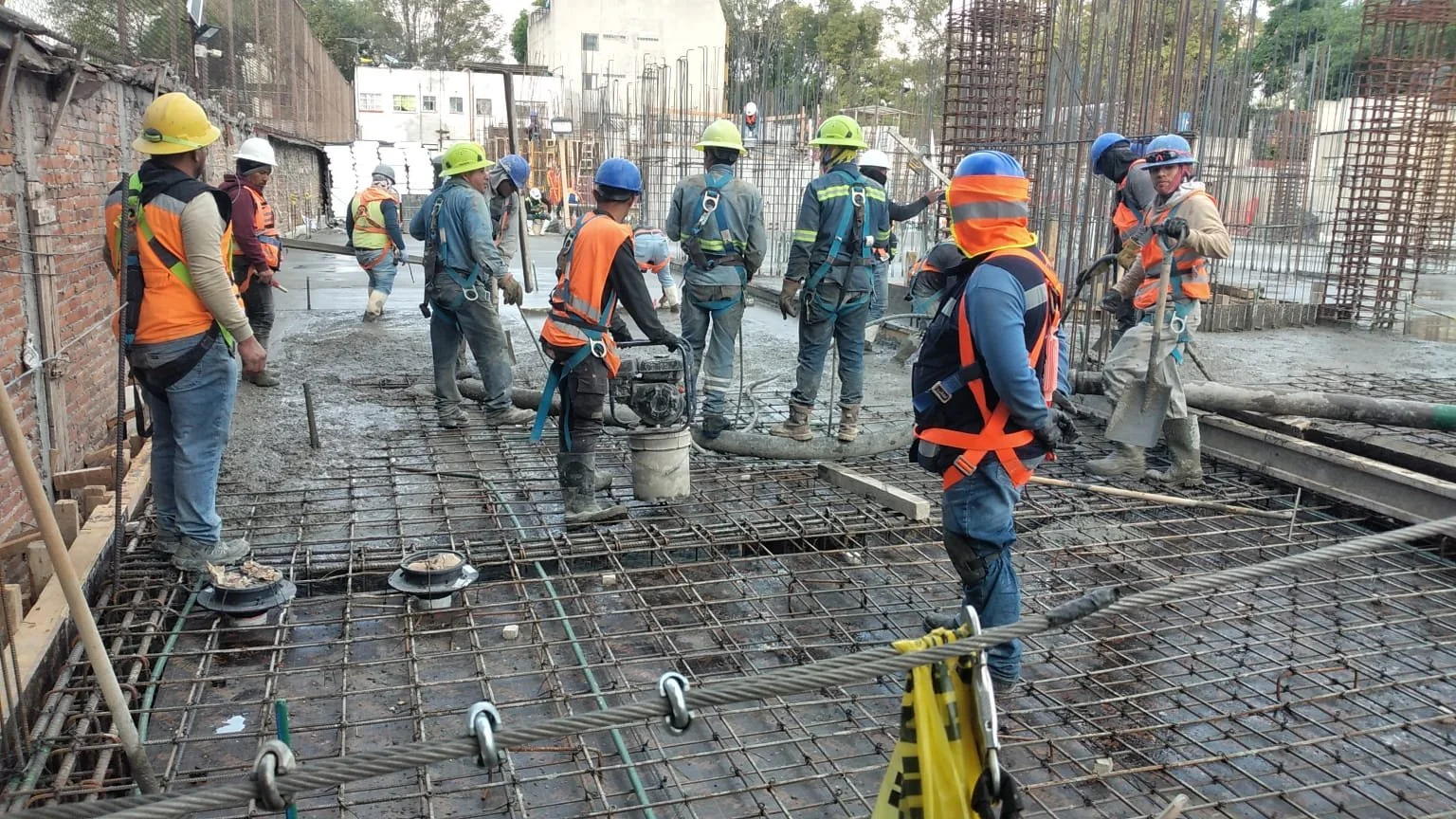 WhatsApp Image 2026-01-21 at 5.13.54 p.m..jpeg