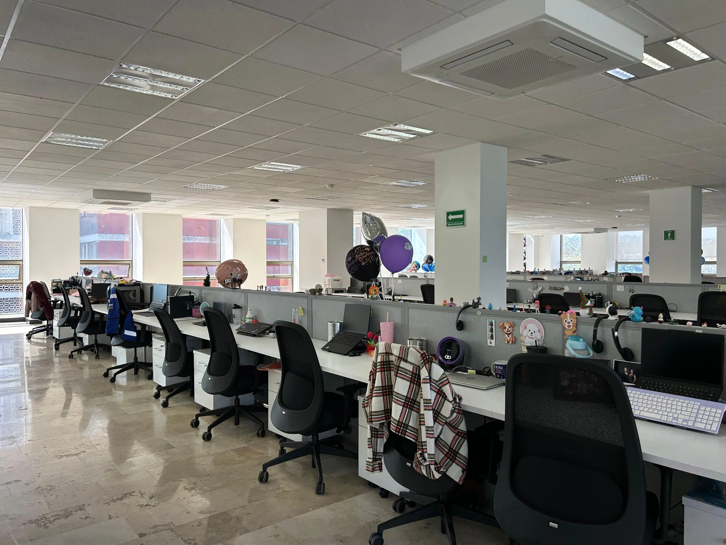 WhatsApp Image 2026-01-24 at 1.33.39 p.m..jpeg