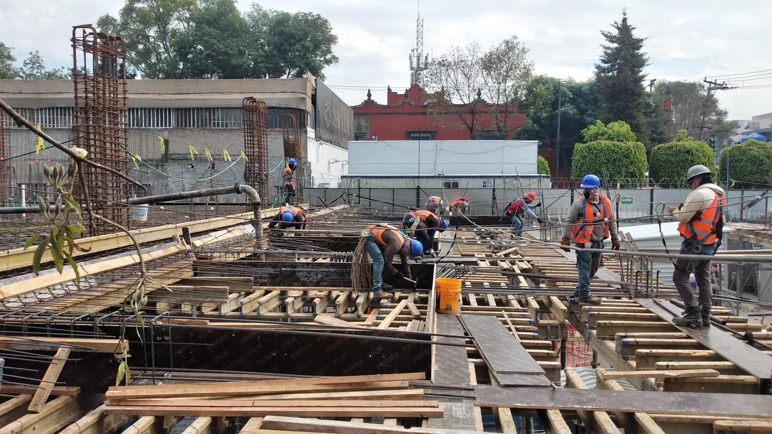 WhatsApp Image 2026-01-21 at 12.44.44 p.m..jpeg