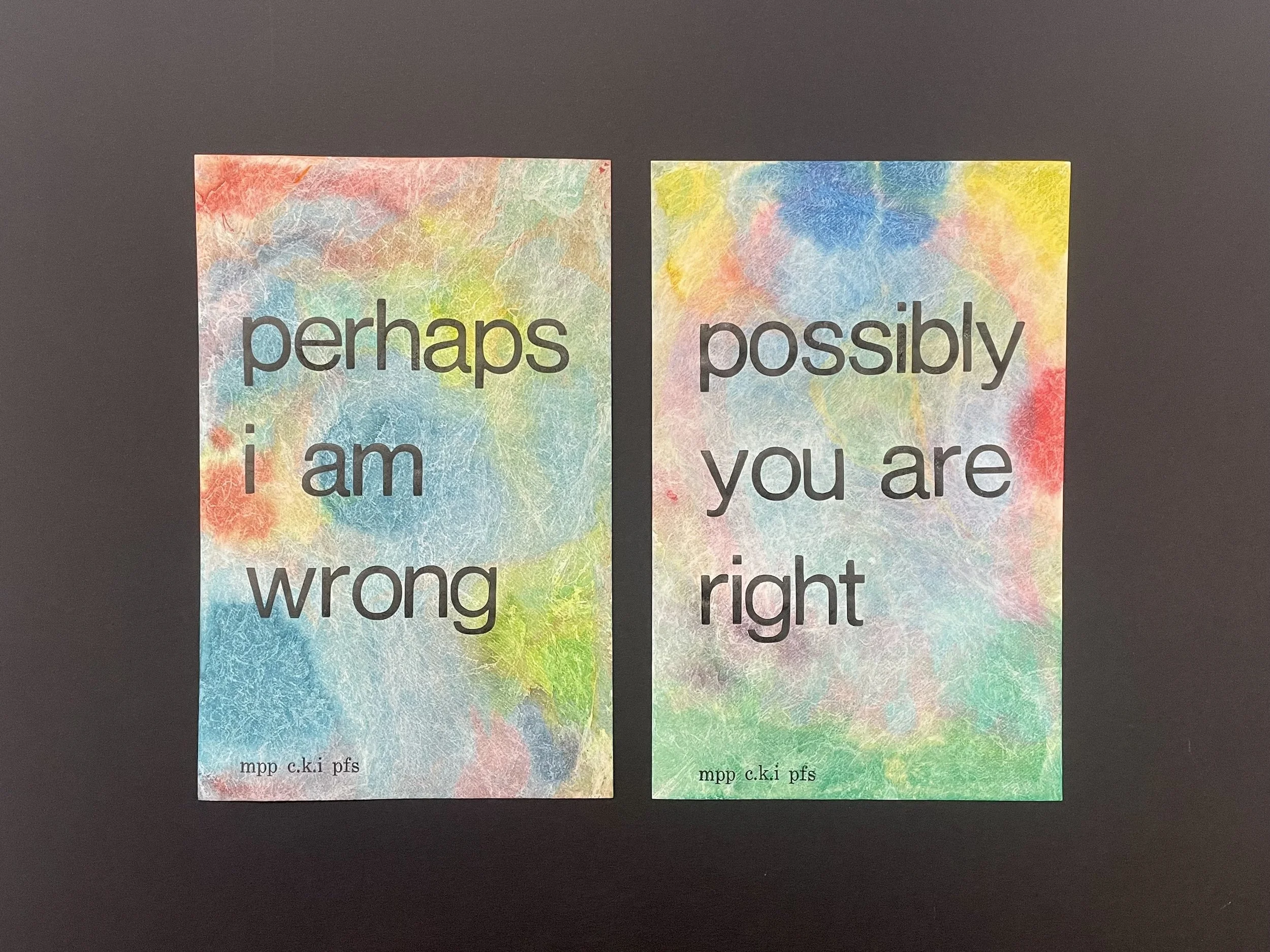 MPP MINI - V - IMG_7230.jpg