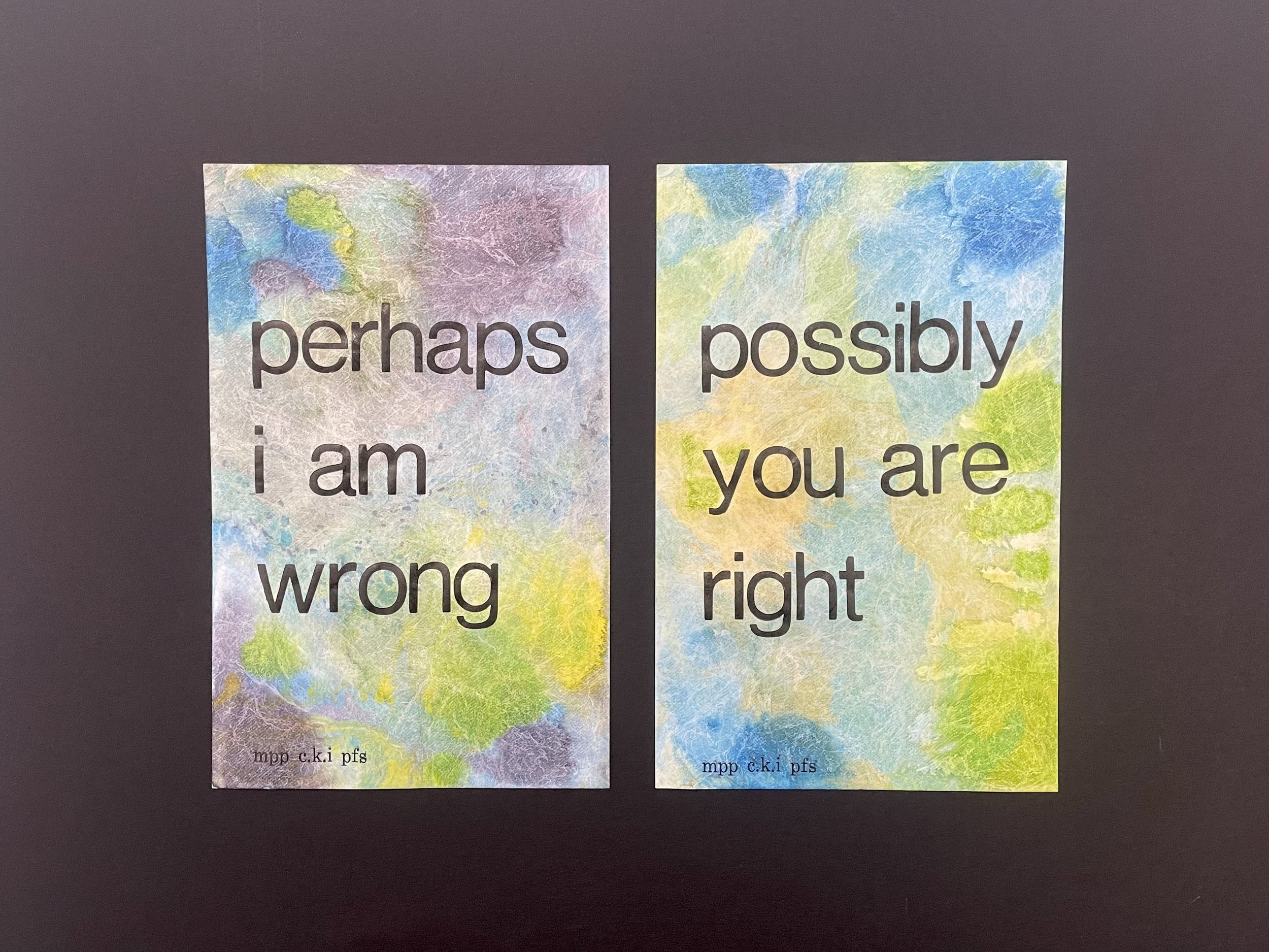 MPP MINI - T - IMG_7228.jpg