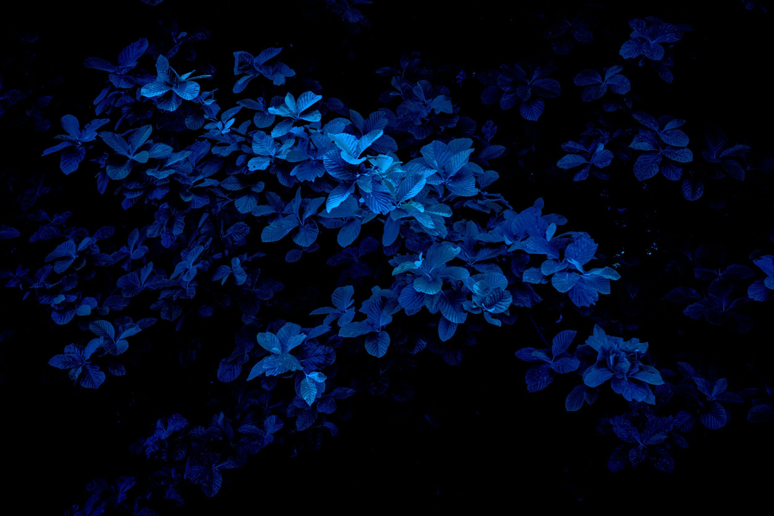 unsplash-image-kXVogATbFgA.jpg