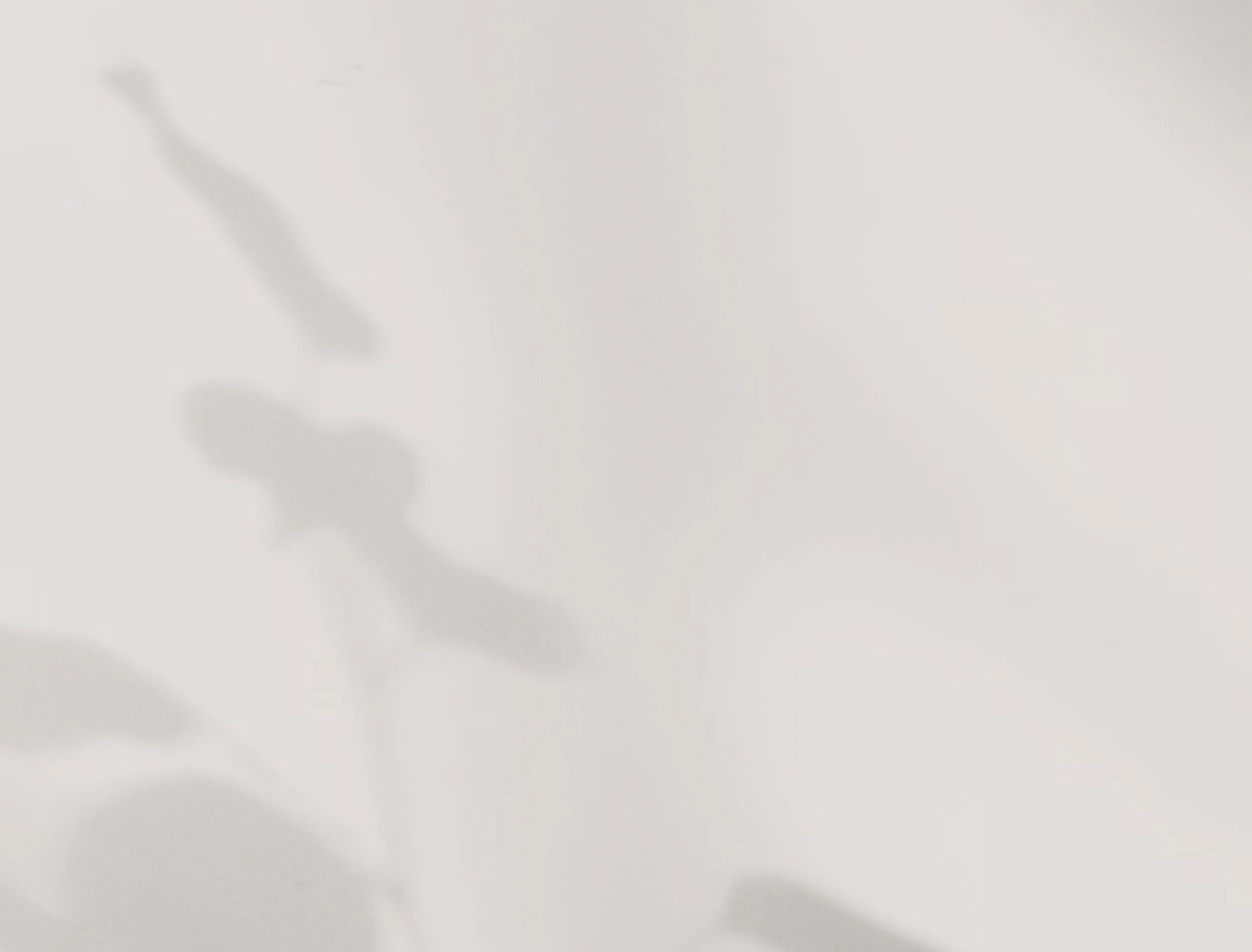 a white shadow image created for well roots counseling, online therapy, trauma therapy