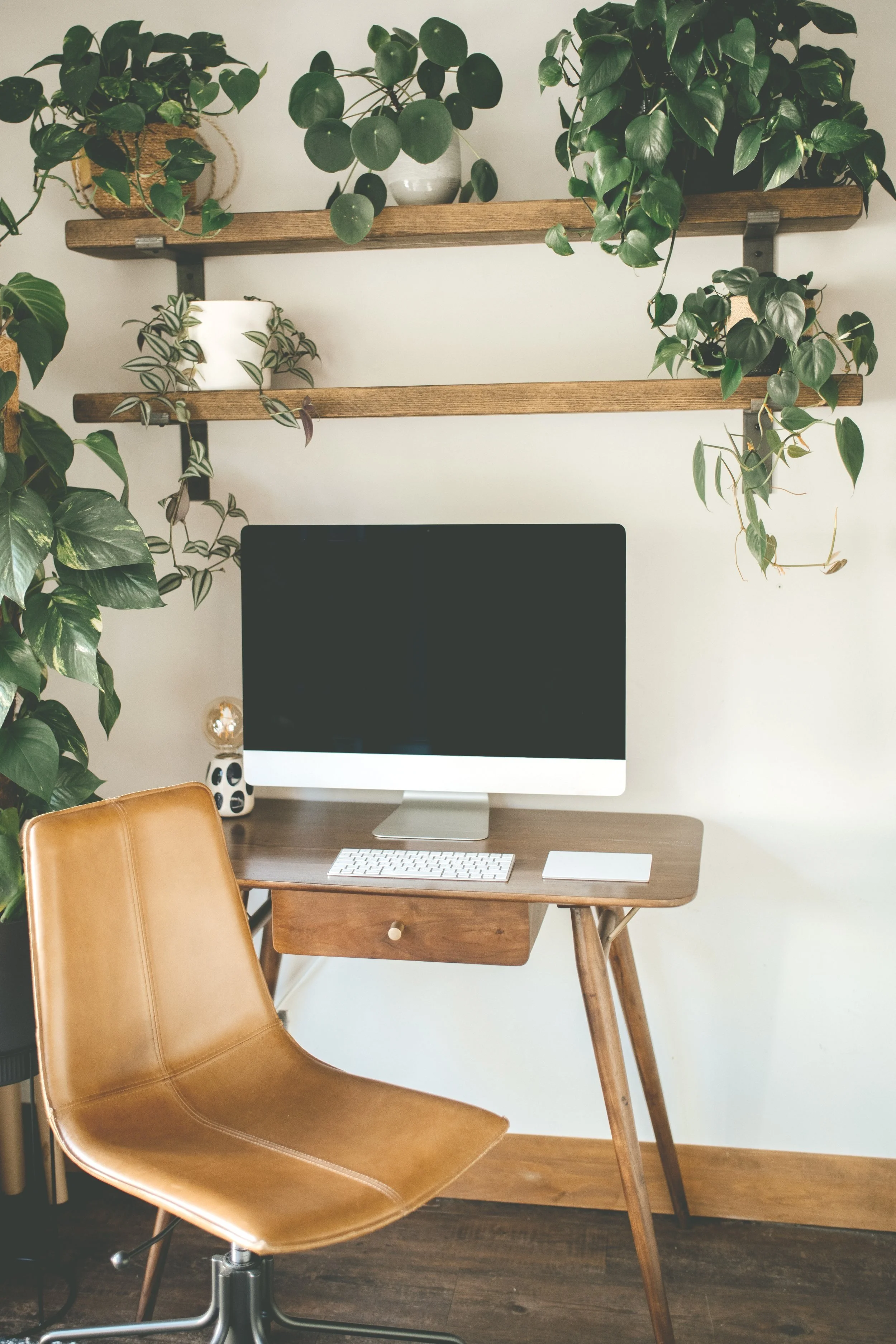 calming office space for online counseling, maternal mental health counseling, trauma therapy online
