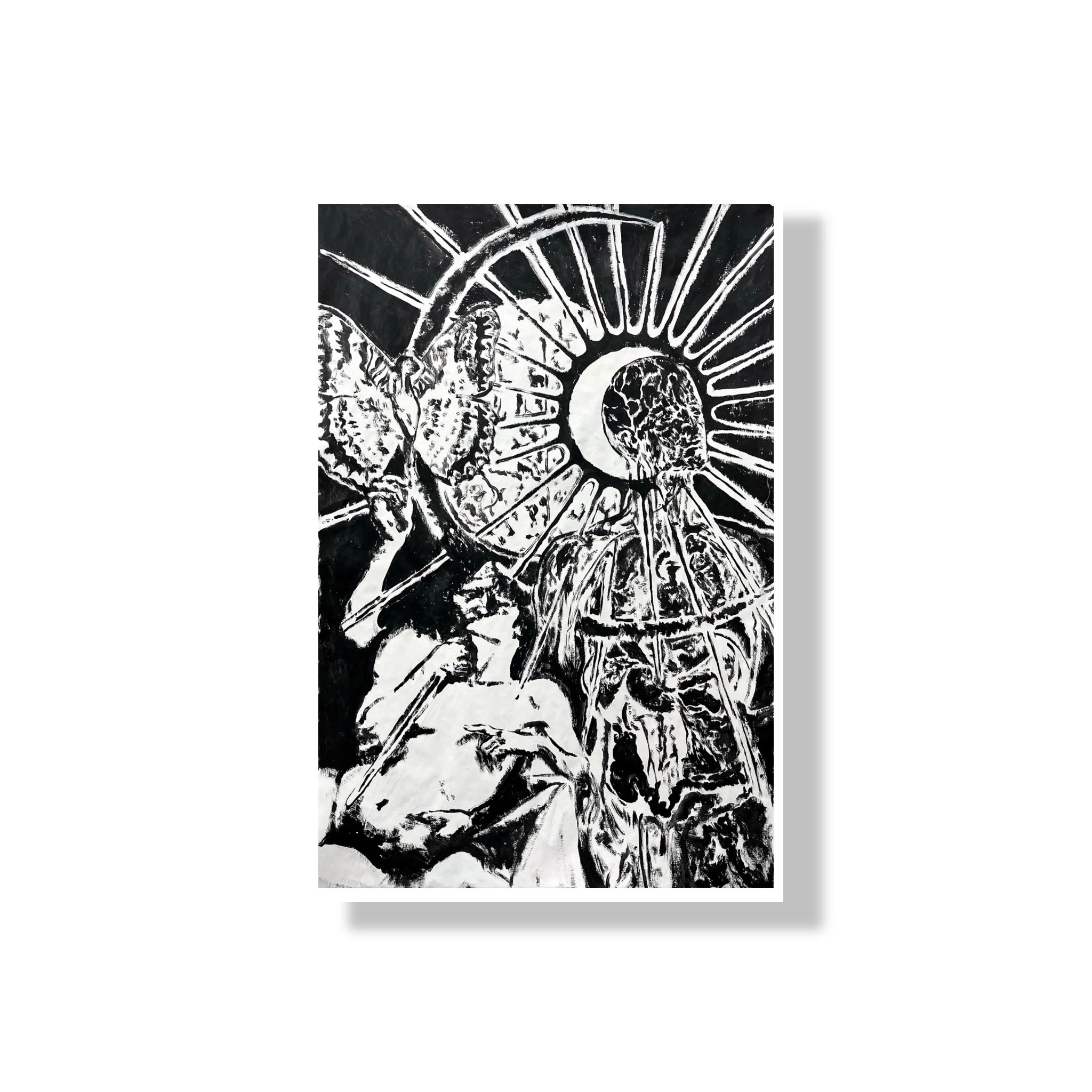 BUTTERFLIES - Contact