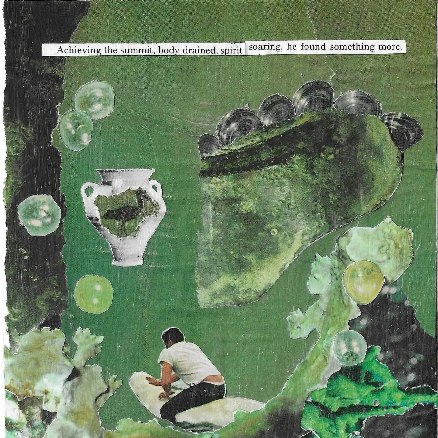 Coming today 💚🕊️