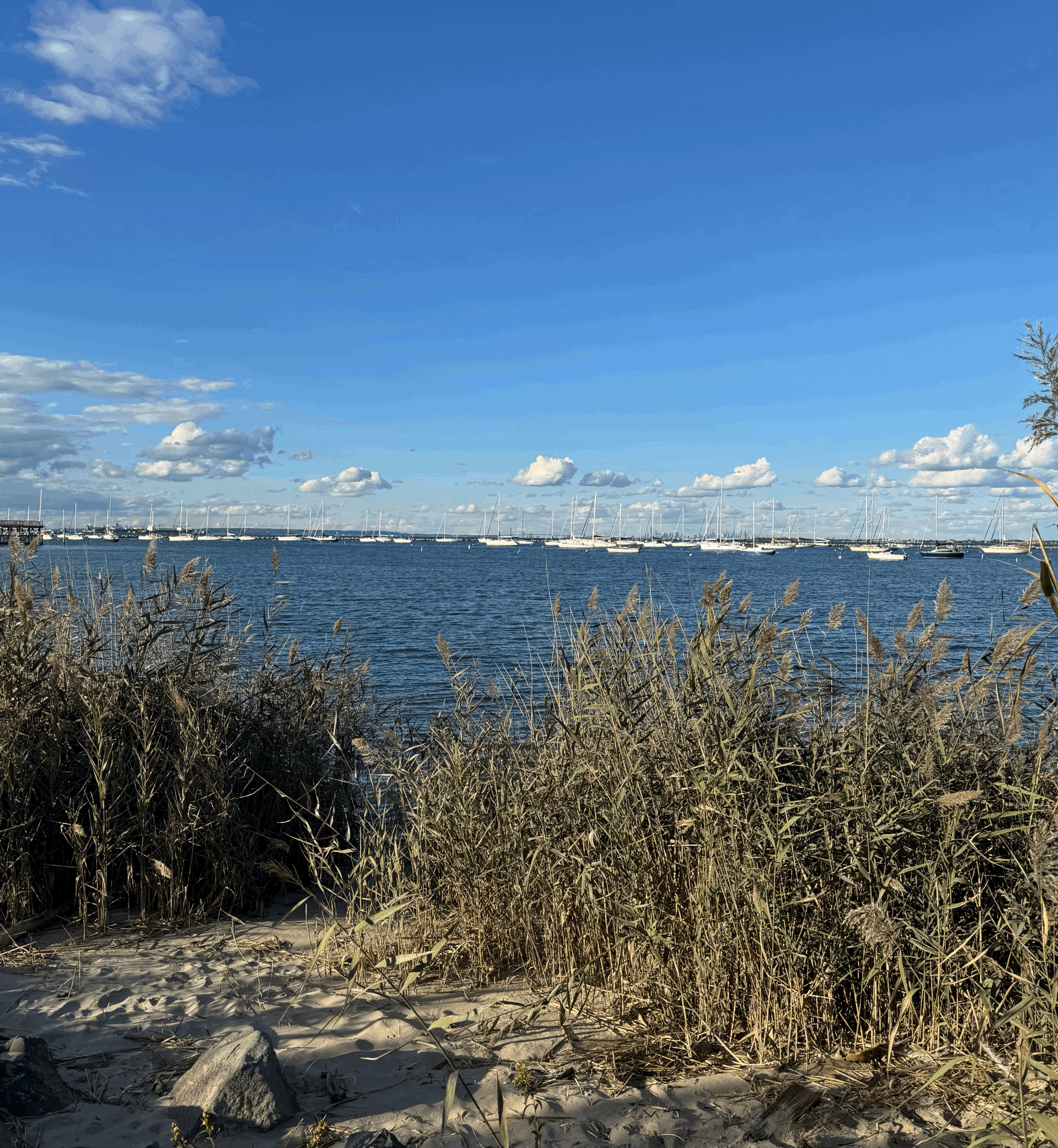 The Best Monmouth County Hiking Spots