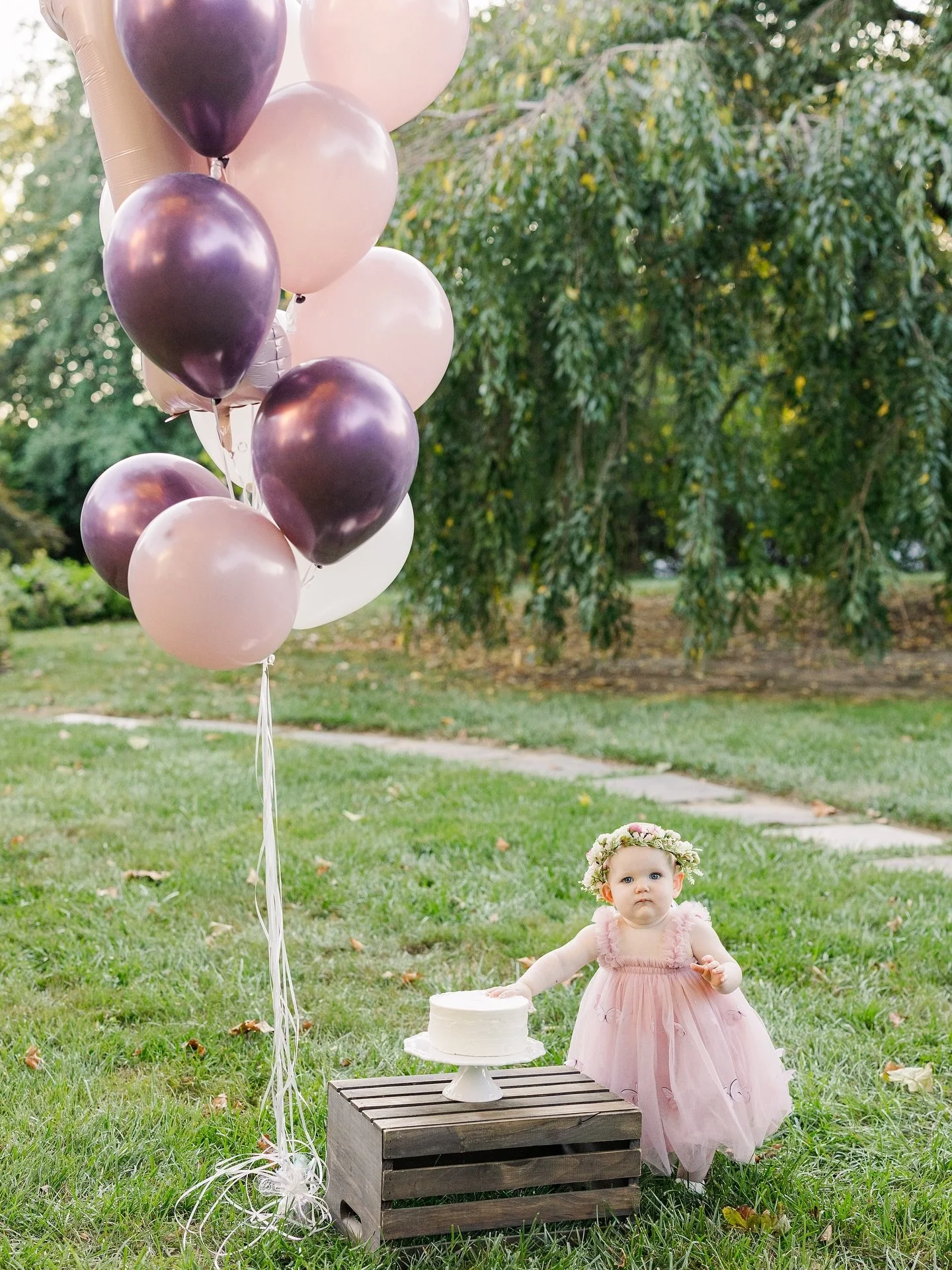 A 1st birthday session from August 💕 

&bull;
&bull;
&bull;

#mdphotographer #harfordcountymaryland 
#baltimorecountymaryland #marylandfamilyphotographer #familyphotographer #maternityphotographer #newbornphotographer