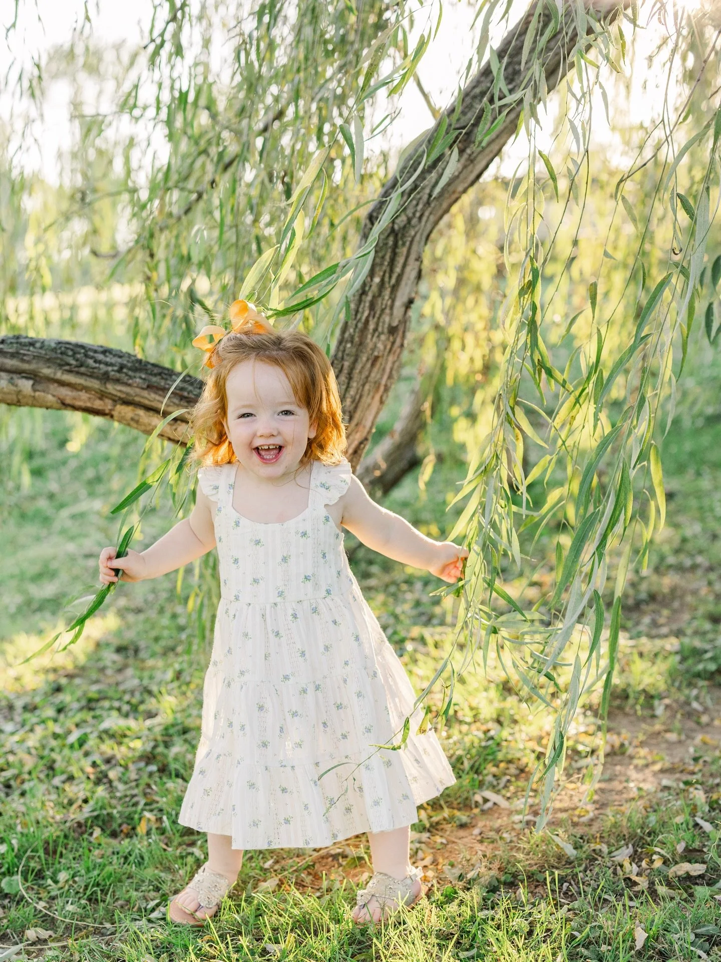 Some of the sweetest laughs under the willow trees 🥹🌿💗

I still have a few openings for willow tree minis next week &amp; the weather is supposed to be gorgeous! Use the link in my bio to sign up 📸

&bull;
&bull;
&bull;

#mdphotographer #harfordc