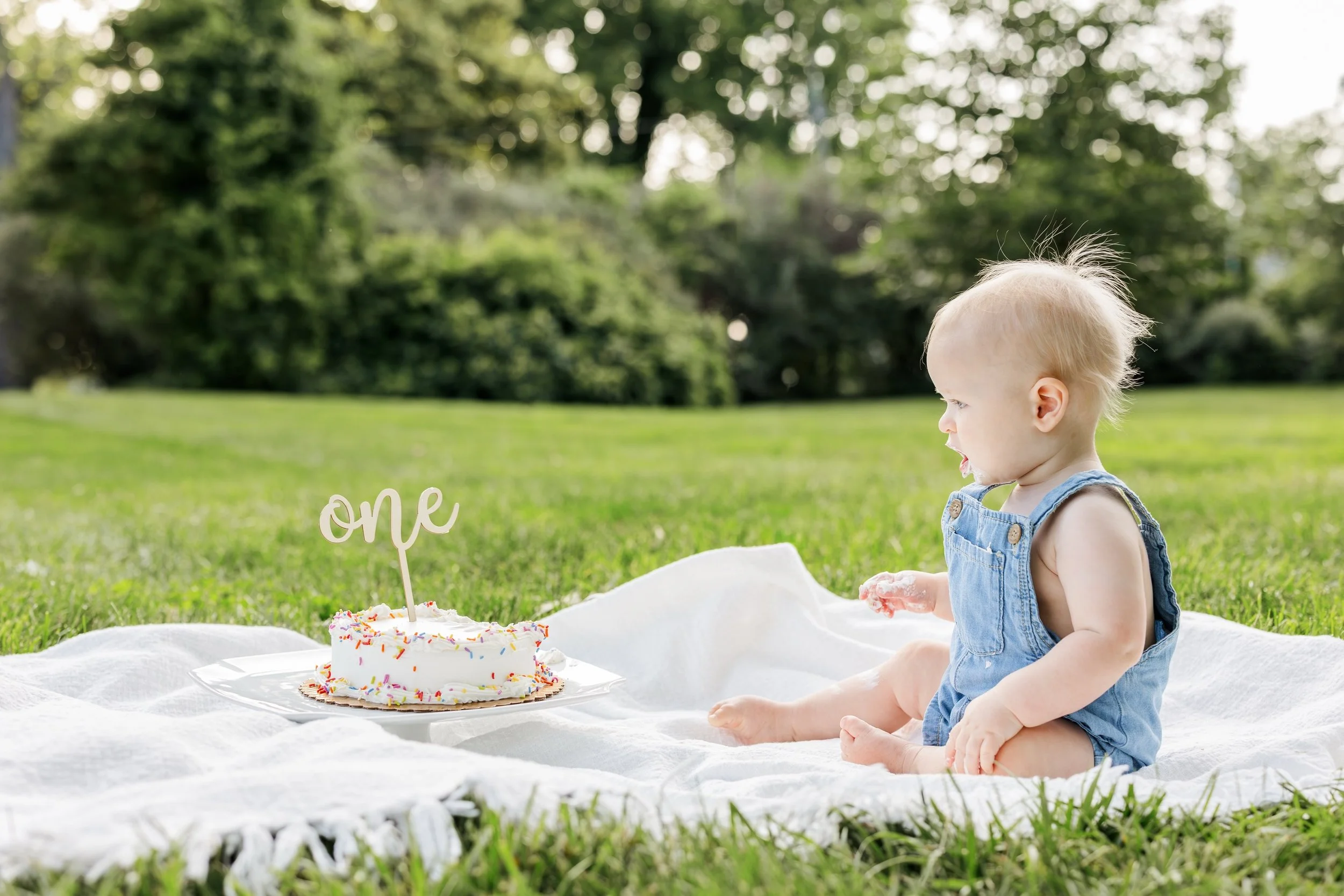 A cake smash is always a yes for me! 🥹🍰

&bull;
&bull;
&bull;

#mdphotographer #harfordcountymaryland 
#baltimorecountymaryland #marylandfamilyphotographer #familyphotographer