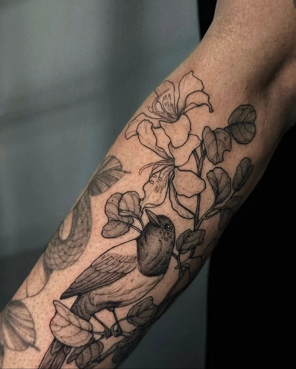 &bull;
𝐛𝐚𝐮𝐡𝐢𝐧𝐢𝐚 𝐱 𝐛𝐥𝐚𝐤𝐞𝐚𝐧𝐚 𝐟𝐥𝐨𝐰𝐞𝐫𝐬 &amp; 𝐦𝐚𝐠𝐩𝐢𝐞
{𝘣𝘢𝘶𝘩𝘪𝘯𝘪𝘢 𝘣𝘭𝘢𝘬𝘦𝘢𝘯𝘢 &mdash; 𝘱𝘪𝘤𝘢 𝘱𝘪𝘤𝘢}

Les fleurs de bauhinia x blakeana symbolisent la sagesse, l&rsquo;&eacute;l&eacute;gance et la sophistication