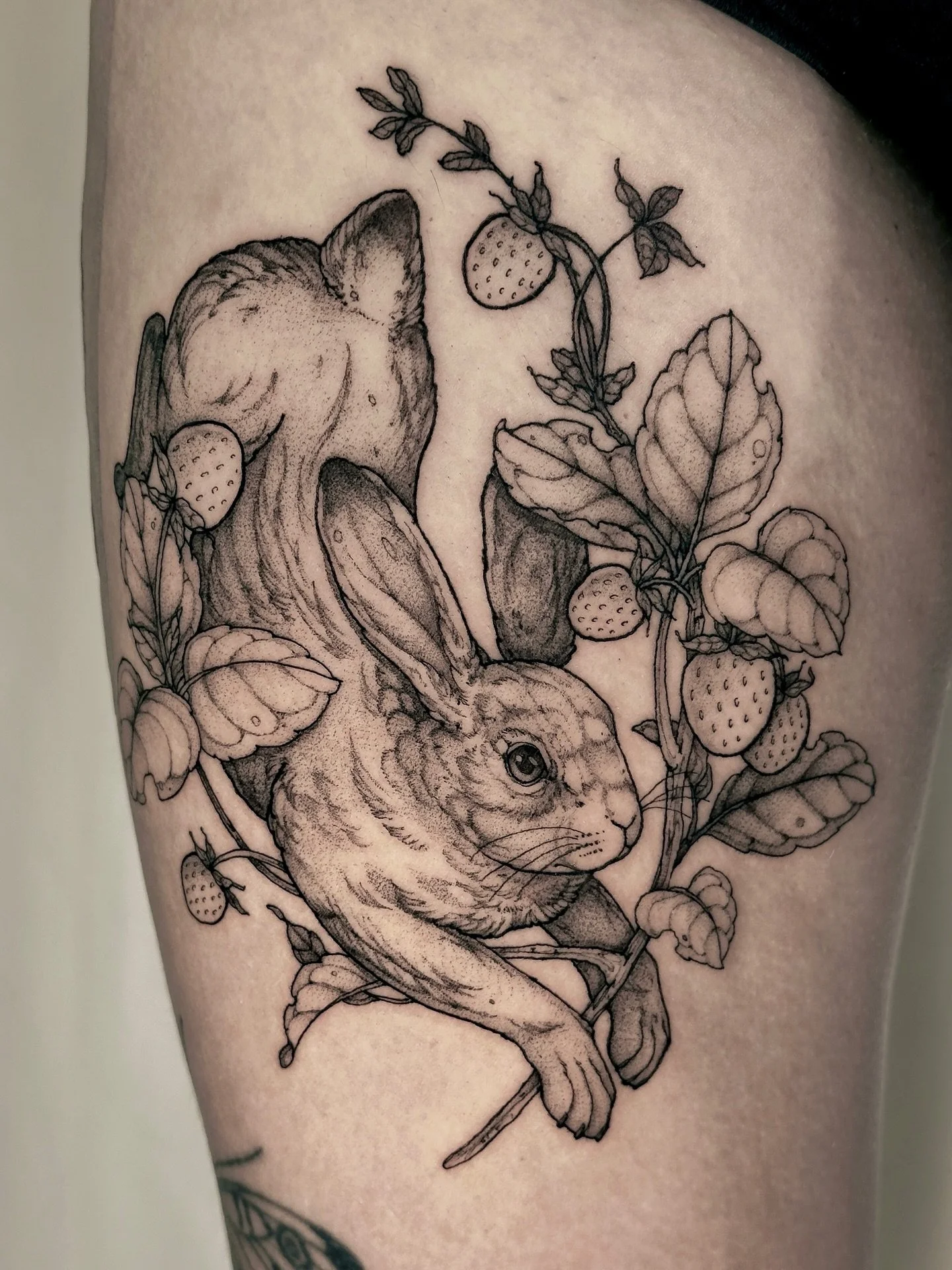 &bull;
𝐫𝐚𝐛𝐛𝐢𝐭 &amp; 𝐬𝐭𝐫𝐚𝐰𝐛𝐞𝐫𝐫𝐢𝐞𝐬
{𝘴𝘺𝘭𝘷𝘪𝘭𝘢𝘨𝘶𝘴 &mdash; 𝘧𝘳𝘢𝘨𝘢𝘳𝘪𝘢}

Le lapin symbolise l&rsquo;abondance, les nouveaux d&eacute;parts et la chance, tandis que les fraises repr&eacute;sentent l&rsquo;amour et la puret&e