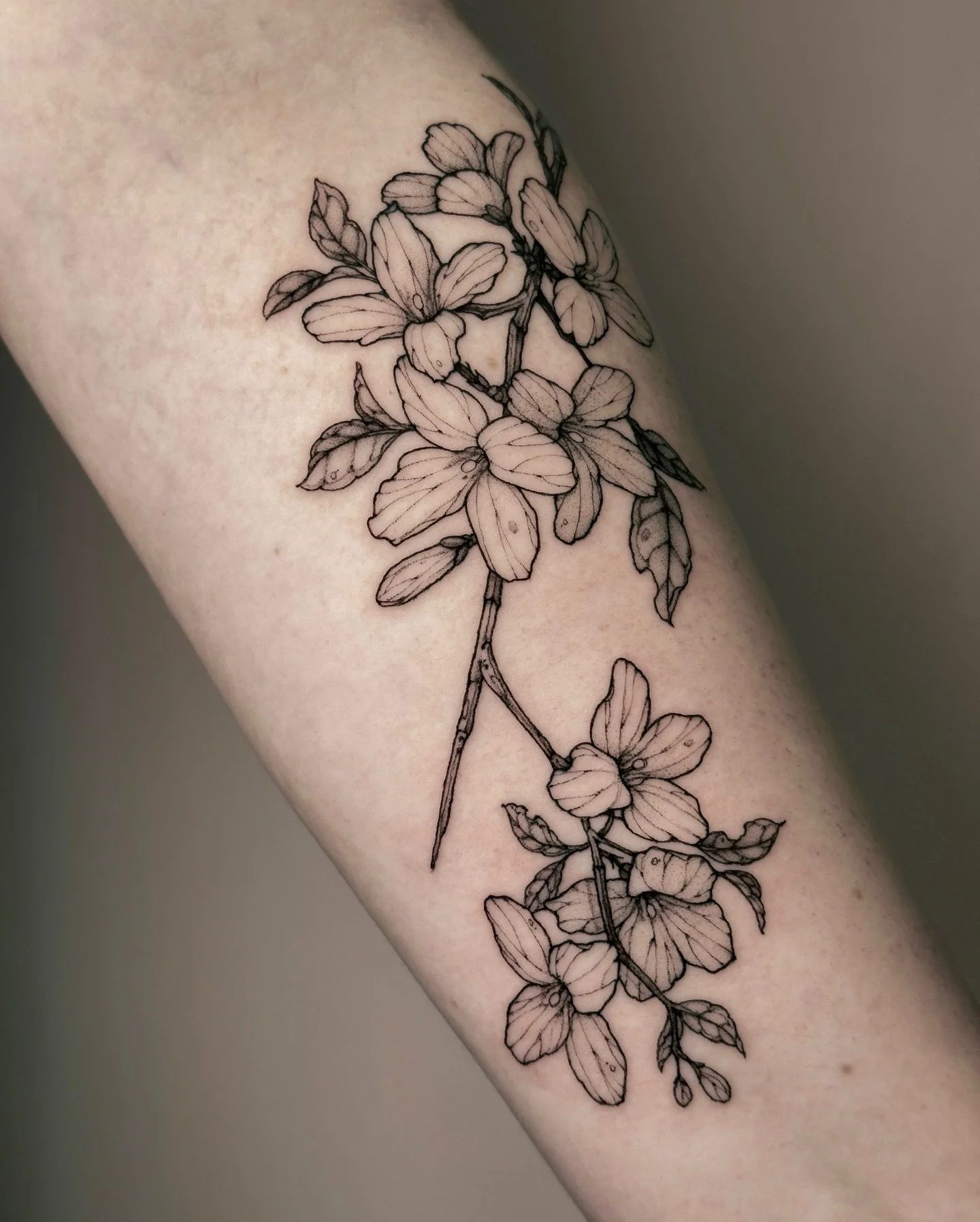 &bull;
𝐟𝐨𝐫𝐬𝐲𝐭𝐡𝐢𝐚
{𝘧𝘰𝘳𝘴𝘺𝘵𝘩𝘪𝘢 &times; 𝘪𝘯𝘵𝘦𝘳𝘮𝘦𝘥𝘪𝘢}
Le forsythia symbolise le renouveau et la richesse.

The forsythia symbolizes renewal and wealth.

&mdash; Thank you Kathryn 🌼

&bull;
#botanicaltattoo #montrealtattoo #flow