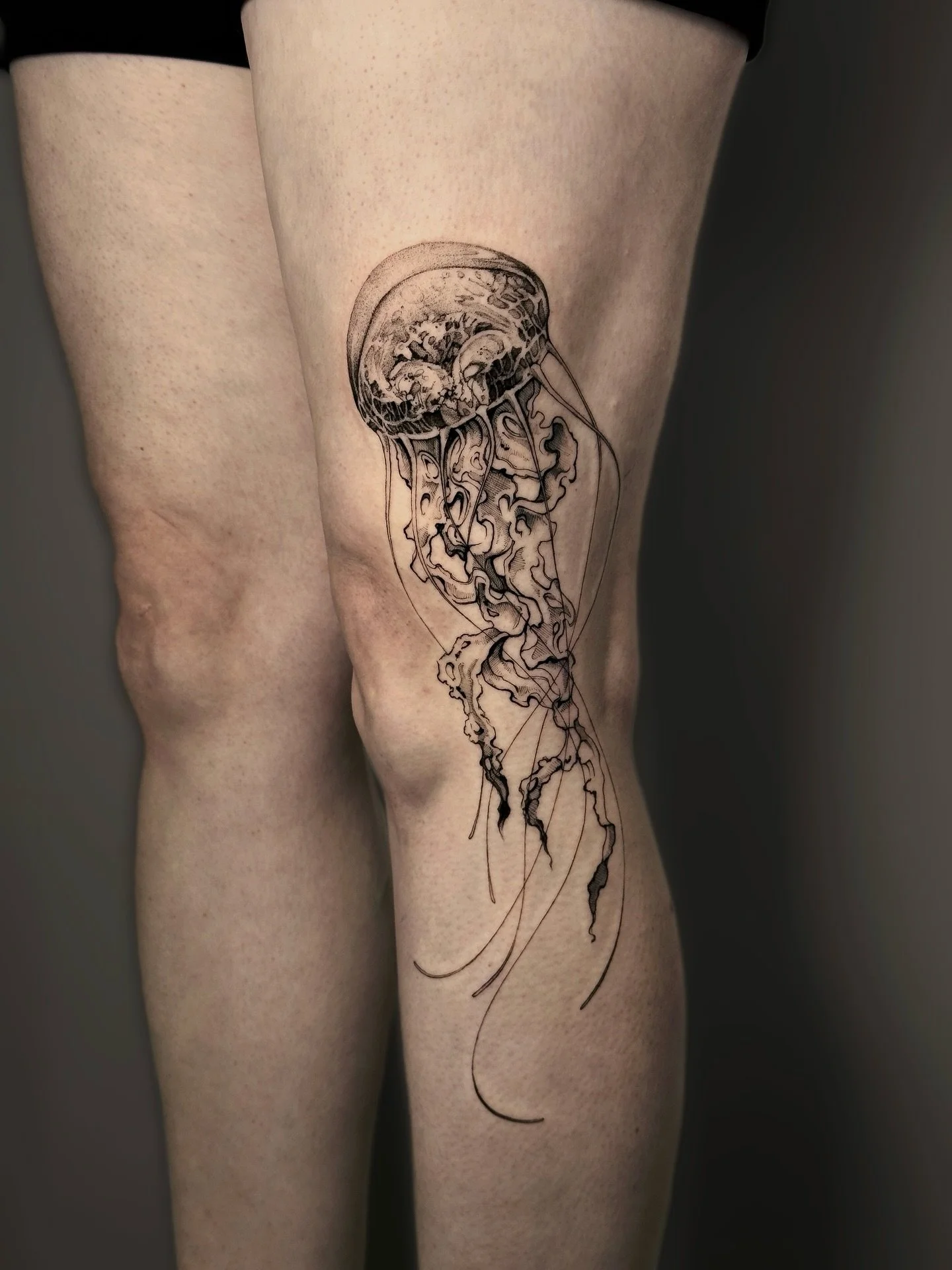 &bull; 𝐣𝐞𝐥𝐥𝐲𝐟𝐢𝐬𝐡 &mdash; collab w/ @mauds.canvas on my sister 🫶🏻
{𝘴𝘤𝘺𝘱𝘩𝘰𝘻𝘰𝘢}

La m&eacute;duse symbolise l&rsquo;adaptabilit&eacute;, la force et la r&eacute;silience.

The jellyfish symbolize adaptability, strength and resilience