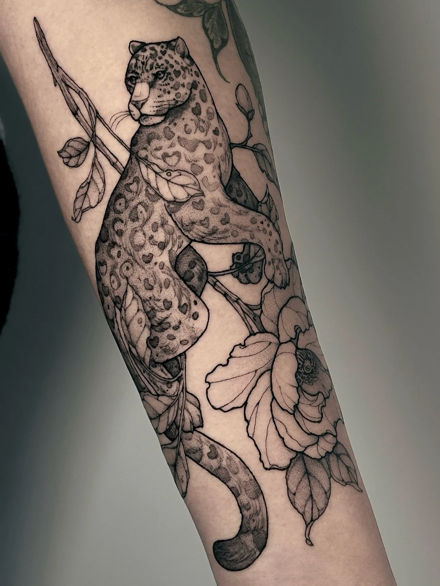 &bull;
𝐡𝐞𝐚𝐫𝐭 𝐣𝐚𝐠𝐮𝐚𝐫 &amp; 𝐩𝐞𝐨𝐧𝐲
{𝘱𝘢𝘯𝘵𝘩𝘦𝘳𝘢 𝘰𝘯𝘤𝘢 &mdash; 𝘱𝘢𝘦𝘰𝘯𝘪𝘢}

Le jaguar symbolise la puissance, l&rsquo;instinct et la protection, tandis que la pivoine repr&eacute;sente la prosp&eacute;rit&eacute;, la beaut&eac