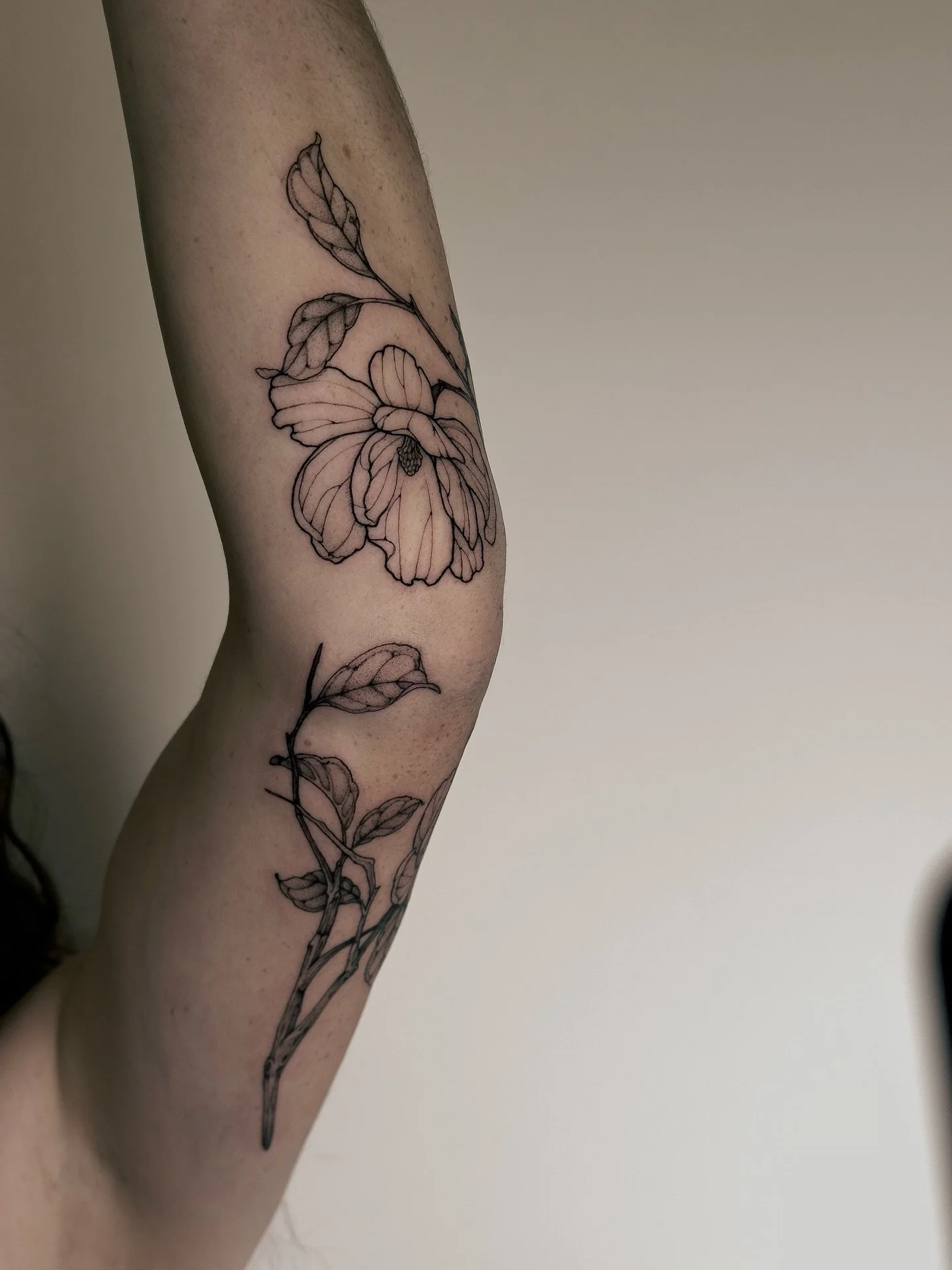 &bull;
𝐦𝐚𝐠𝐧𝐨𝐥𝐢𝐚𝐬
{𝘮𝘢𝘨𝘯𝘰𝘭𝘪𝘢 𝘨𝘳𝘢𝘯𝘥𝘪𝘧𝘭𝘰𝘳𝘢}

Le magnolia repr&eacute;sente la force et la puret&eacute;.

The magnolia represents strength and purity.

&mdash; I tattooed this magnolias custom around Metisse's elbow. When she 