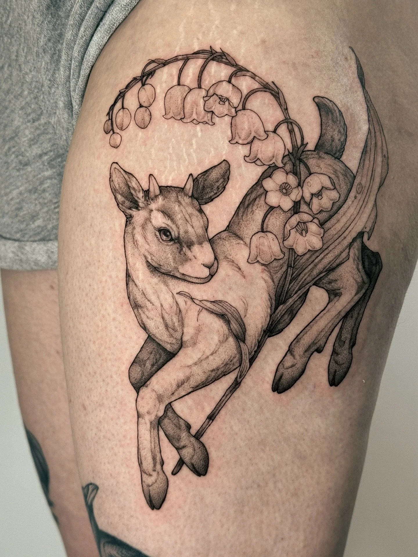 &bull;
𝐠𝐨𝐚𝐭 &amp; 𝐥𝐢𝐥𝐢𝐞𝐬 𝐨𝐟 𝐭𝐡𝐞 𝐯𝐚𝐥𝐥𝐞𝐲 
{𝘤𝘢𝘱𝘳𝘢 𝘢𝘦𝘨𝘢𝘨𝘳𝘶𝘴 𝘩𝘪𝘳𝘤𝘶𝘴 &mdash; 𝘤𝘰𝘯𝘷𝘢𝘭𝘭𝘢𝘳𝘪𝘢 𝘮𝘢𝘫𝘢𝘭𝘪𝘴}

La ch&egrave;vre symbolise l&rsquo;agilit&eacute;, la pers&eacute;v&eacute;rance et l&rsquo;enduran