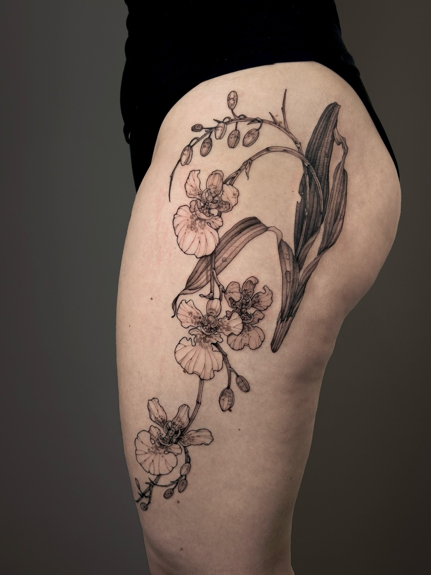 &bull;
𝐝𝐚𝐧𝐜𝐢𝐧𝐠-𝐥𝐚𝐝𝐲 𝐨𝐫𝐜𝐡𝐢𝐝
{𝘰𝘯𝘤𝘪𝘥𝘪𝘶𝘮}

L&rsquo;Oncidium symbolise le bonheur et la gr&acirc;ce.

The Dancing Lady Orchid symbolizes happiness and grace. This flower gets its name from the way its petals twirl in the wind, res