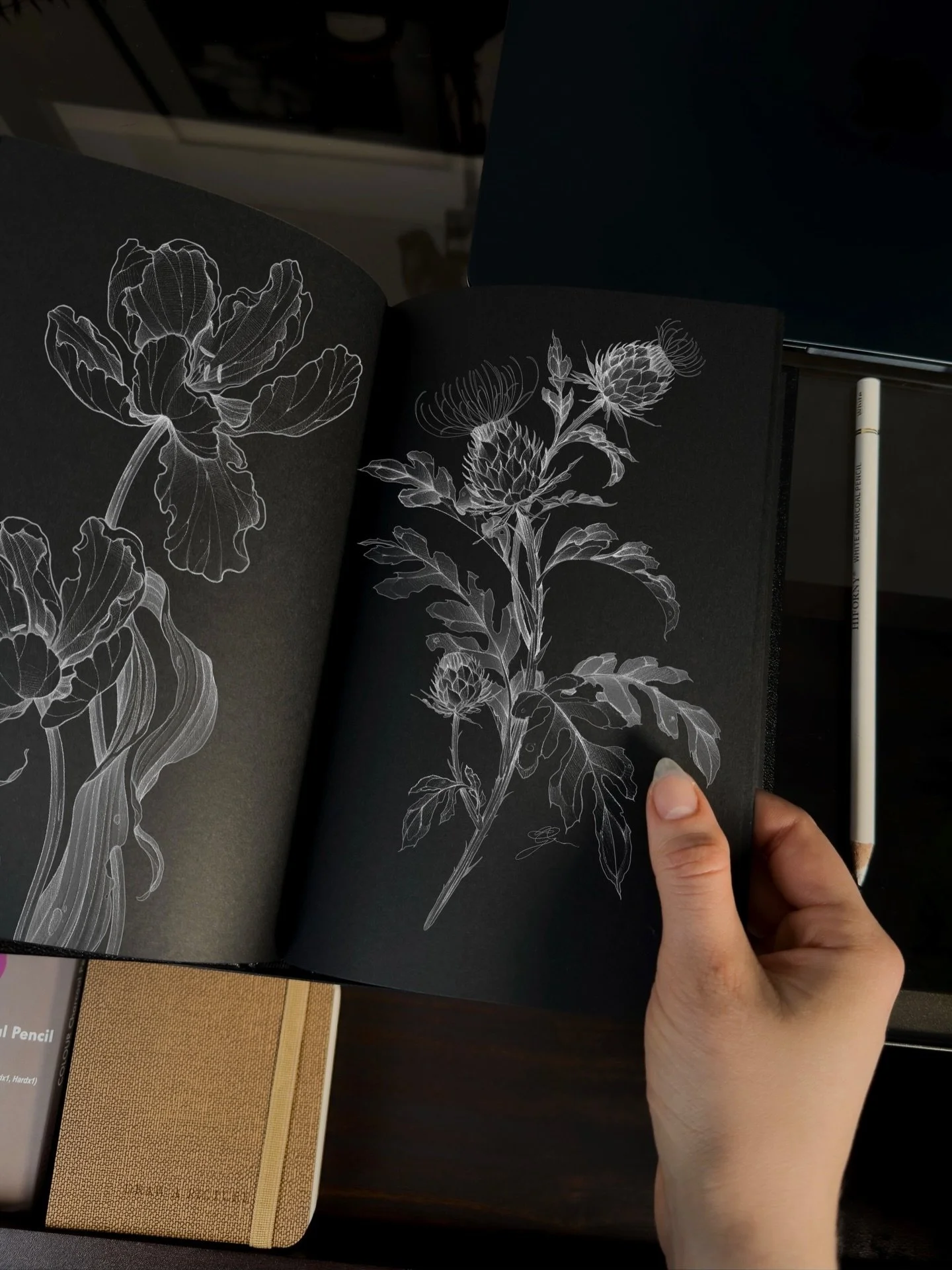 I am a digital artist, but I did start my art journey with graphite on paper. I recently told myself I want to start drawing on paper more often again; creating artistic sketchbooks, exploring and drawing only for the sake of it. I recently bought th