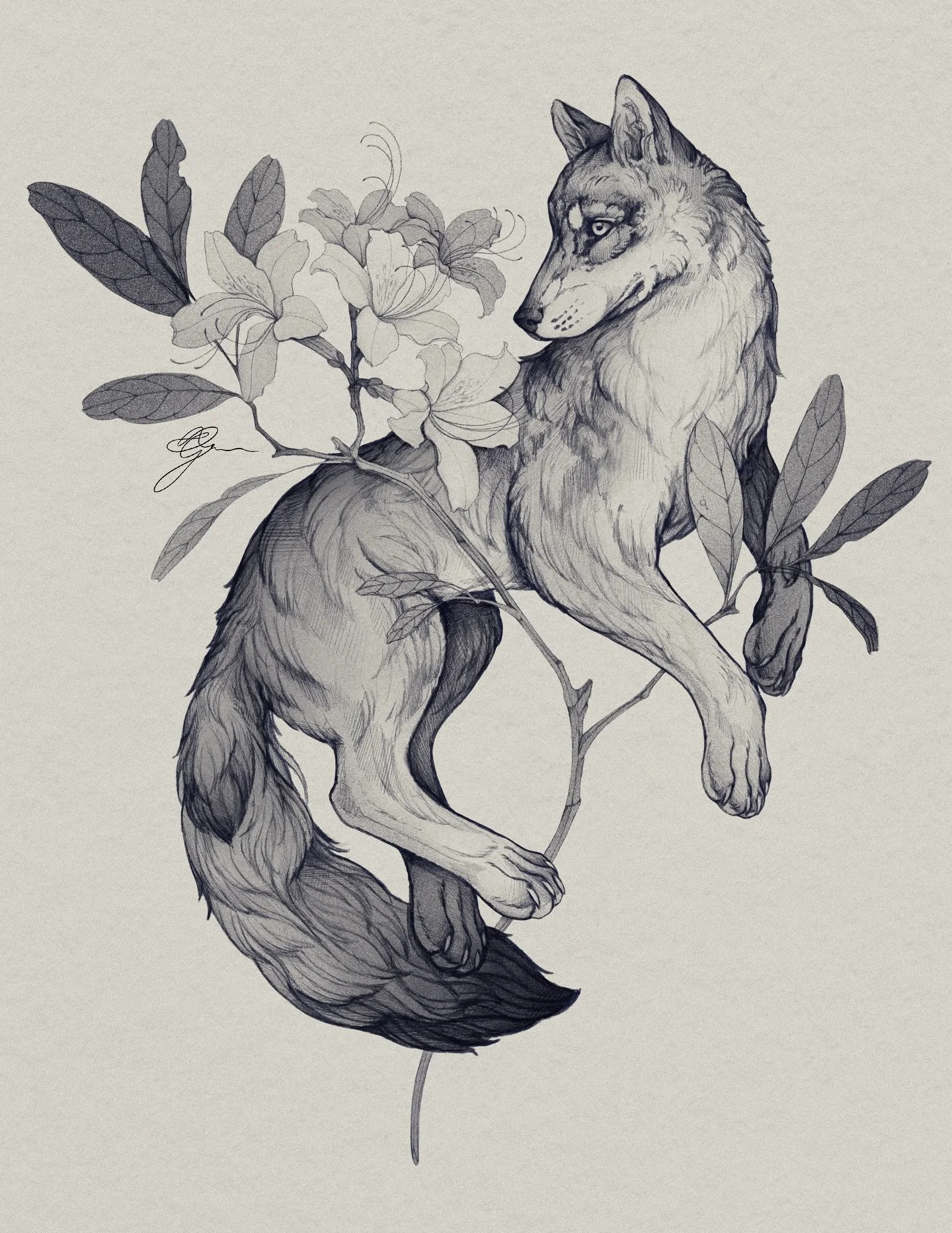 &bull;
𝐰𝐨𝐥𝐟 &amp; 𝐚𝐳𝐚𝐥𝐞𝐚
{𝘤𝘢𝘯𝘪𝘴 𝘭𝘶𝘱𝘶𝘴 &mdash; 𝘳𝘩𝘰𝘥𝘰𝘥𝘦𝘯𝘥𝘳𝘰𝘯 𝘰𝘤𝘤𝘪𝘥𝘦𝘯𝘵𝘢𝘭𝘦}

Le loup symbolise les liens familiaux forts, la protection et l&rsquo;intelligence, tandis que les fleurs repr&eacute;sentent la force