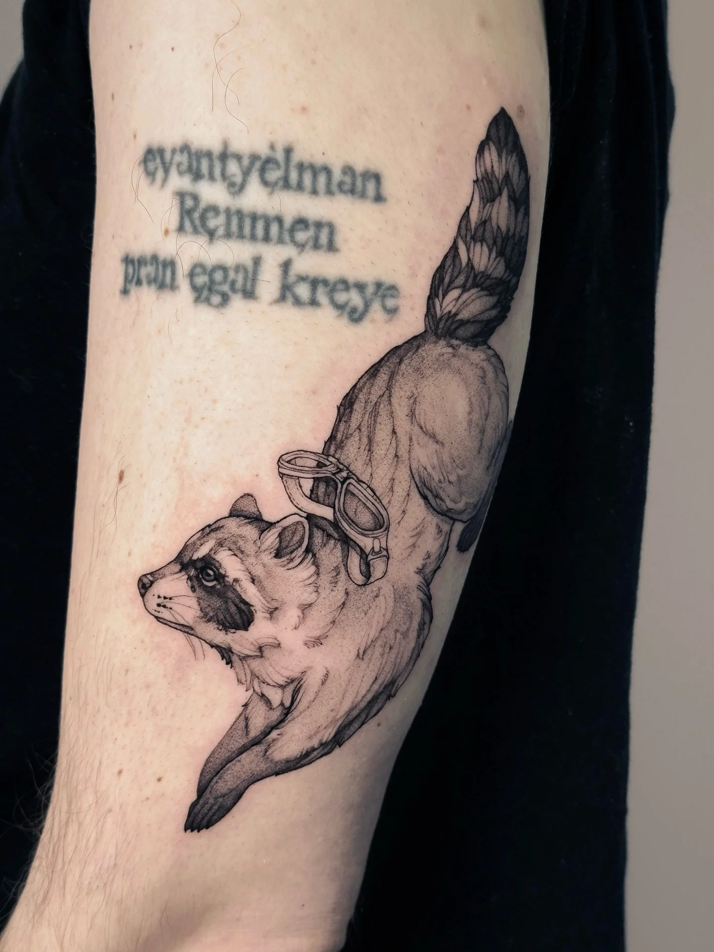 &bull;
𝐫𝐚𝐜𝐜𝐨𝐨𝐧
{𝘱𝘳𝘰𝘤𝘺𝘰𝘯 𝘭𝘰𝘵𝘰𝘳}

Le raton laveur symbolise l&rsquo;adaptabilit&eacute;, l&rsquo;intelligence et la d&eacute;brouillardise.

The raccoon symbolizes adaptability, intelligence, and resourcefulness.

&mdash; custom for 