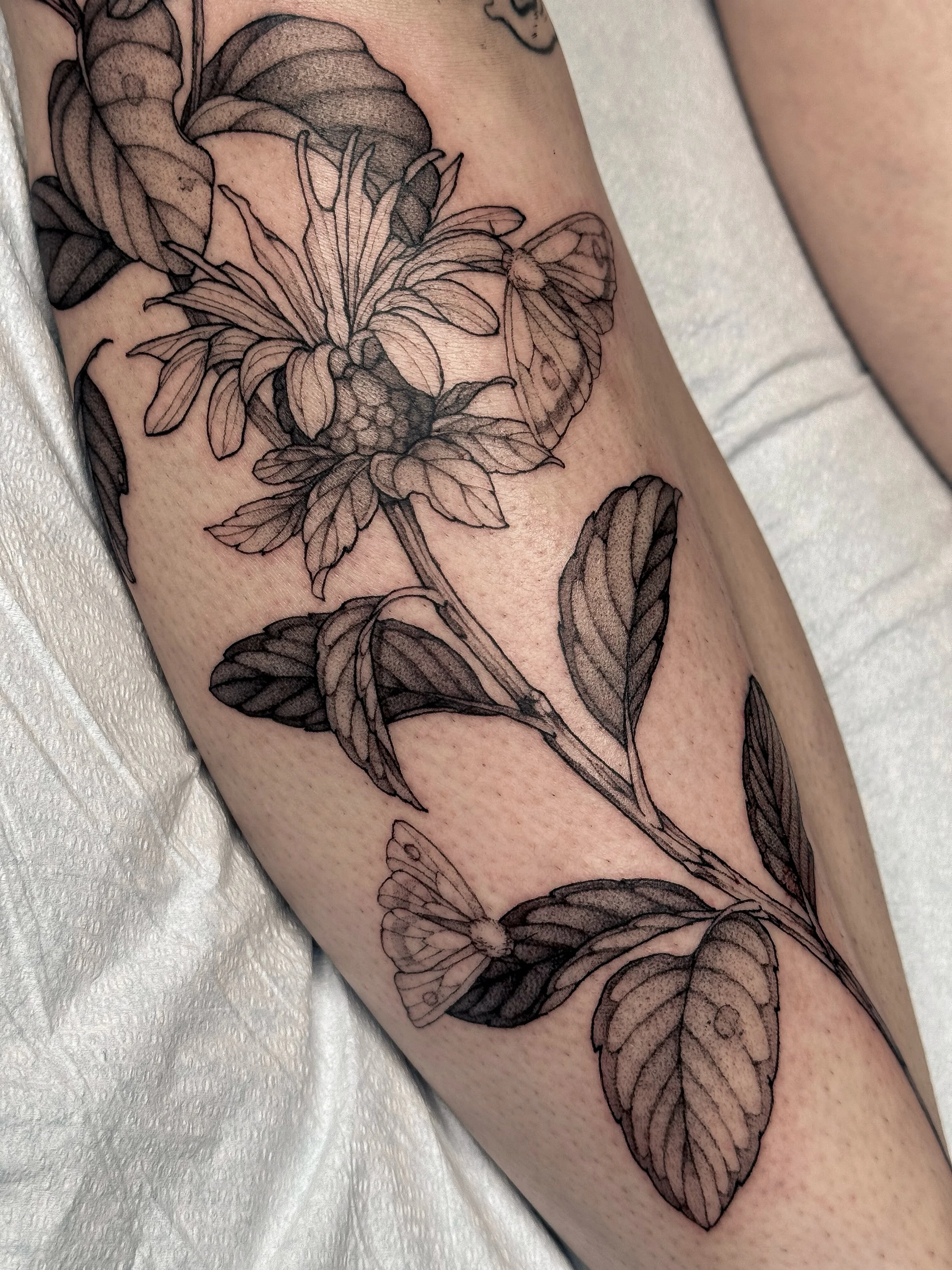 close up shots of this honeysuckle &amp; bee balm custom 🌿

dm to book your fauna and/or flora custom in august 👀

&bull;
#closeupshot #details #blackworktattoos #botanicaltattoos #flowertattoo