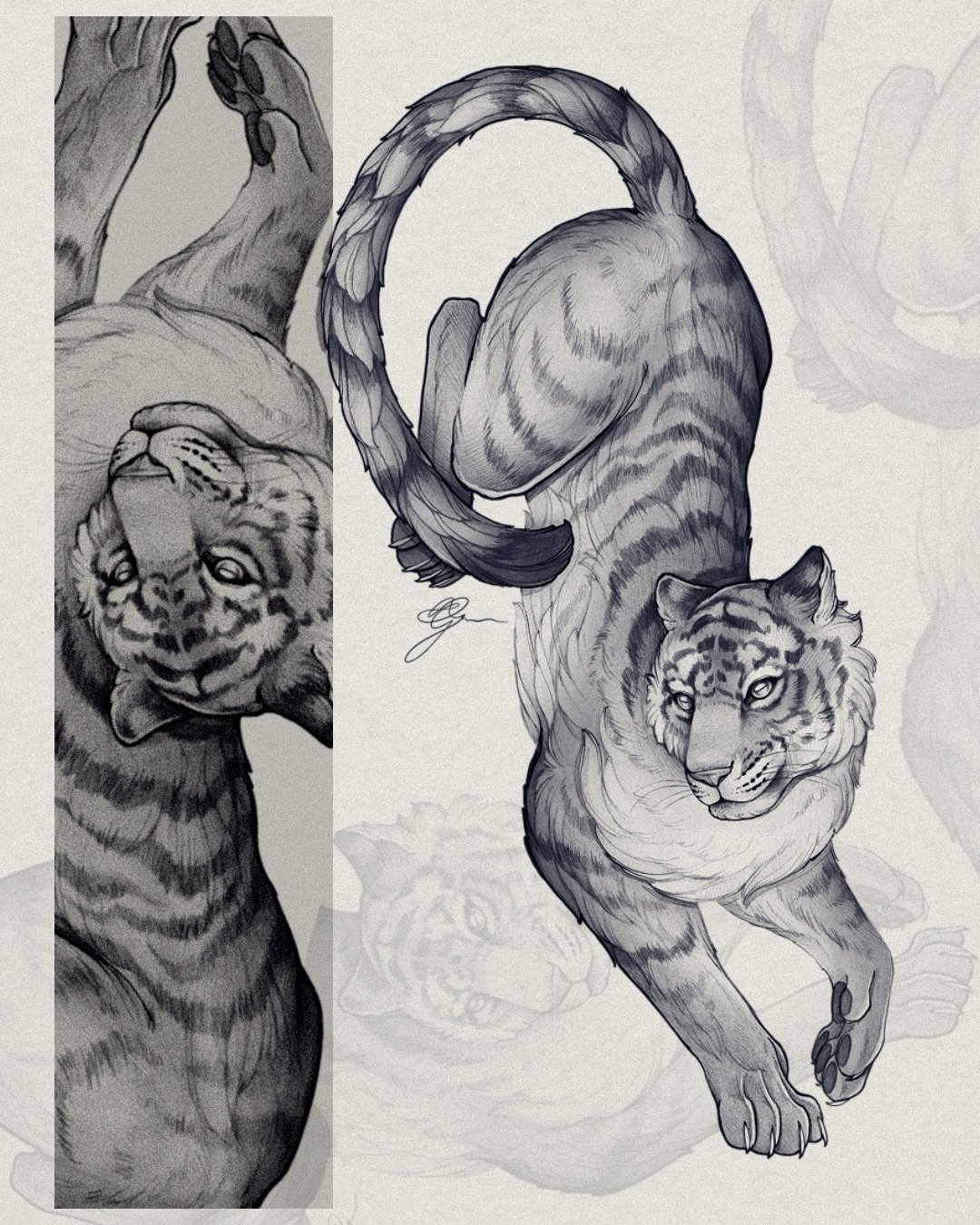 &bull;
𝐭𝐢𝐠𝐞𝐫
{𝘱𝘢𝘯𝘵𝘩𝘦𝘳𝘢 𝘵𝘪𝘨𝘳𝘪𝘴}

‪Le tigre symbolise le courage, la protection et l&rsquo;ind&eacute;pendance.‬

The tiger symbolizes courage, protection, and fierce independence.

&mdash; available flash 🐅

&bull;
#tigertattoo #ti