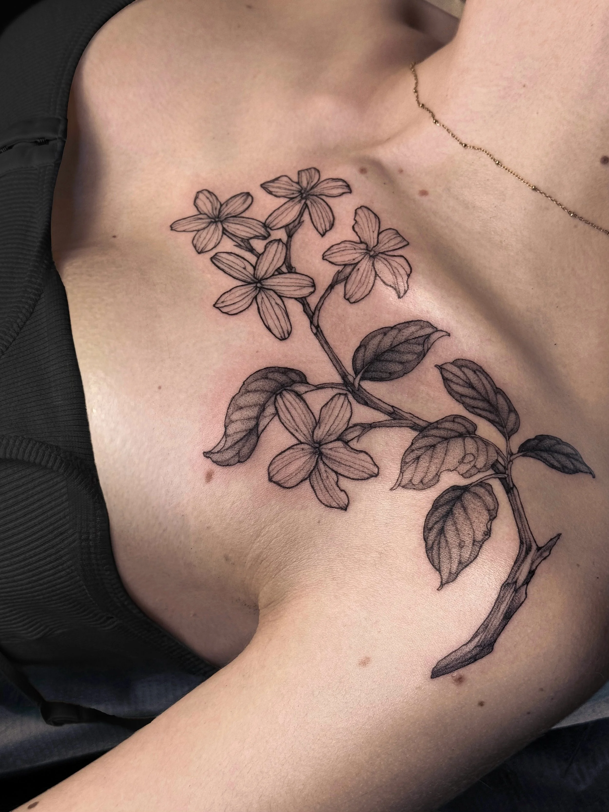 &bull;
𝐣𝐚𝐬𝐦𝐢𝐧𝐞 𝐟𝐥𝐨𝐰𝐞𝐫𝐬
{𝘫𝘢𝘴𝘮𝘪𝘯𝘶𝘮 𝘨𝘳𝘢𝘯𝘥𝘪𝘧𝘭𝘰𝘳𝘶𝘮}

Les fleurs de jasmin symbolisent la puret&eacute;, l&rsquo;amour et l&rsquo;&eacute;veil spirituel.

Jasmine flowers symbolize purity, love and spiritual awakening.

&m