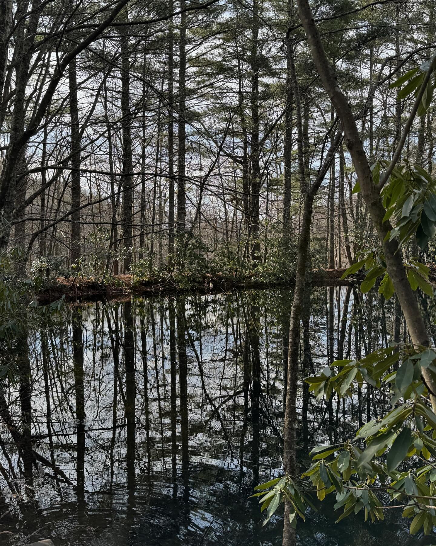 Since returning to North Carolina, many of my dear friends have shared their mountain spaces with me and I&rsquo;ve been truly grateful for the spaces and places to rest and restore. Like so many others, my heart is heavy. 

If you&rsquo;re looking f