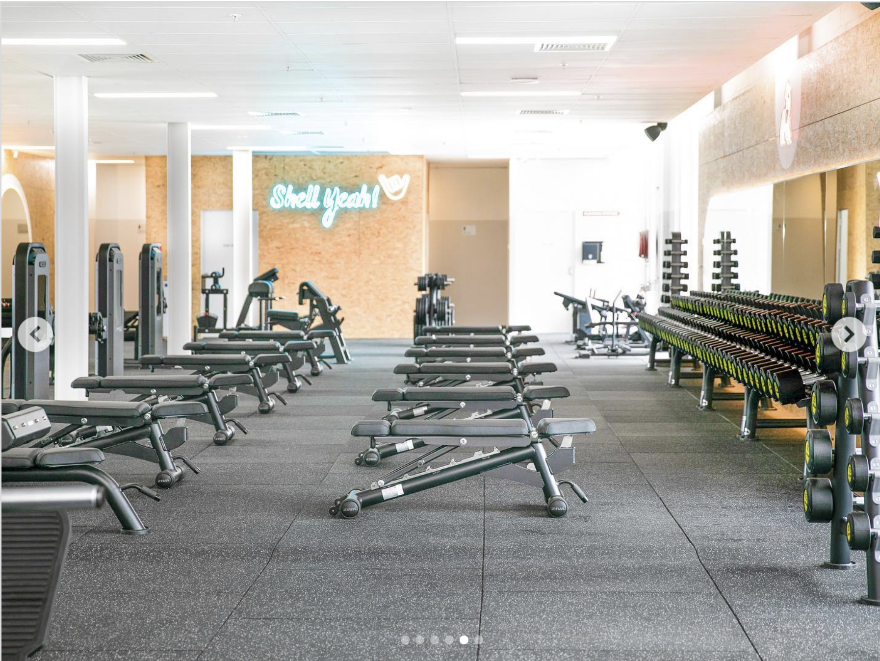 Screen Shot 2024-03-07 at 1.20.36 pm.png